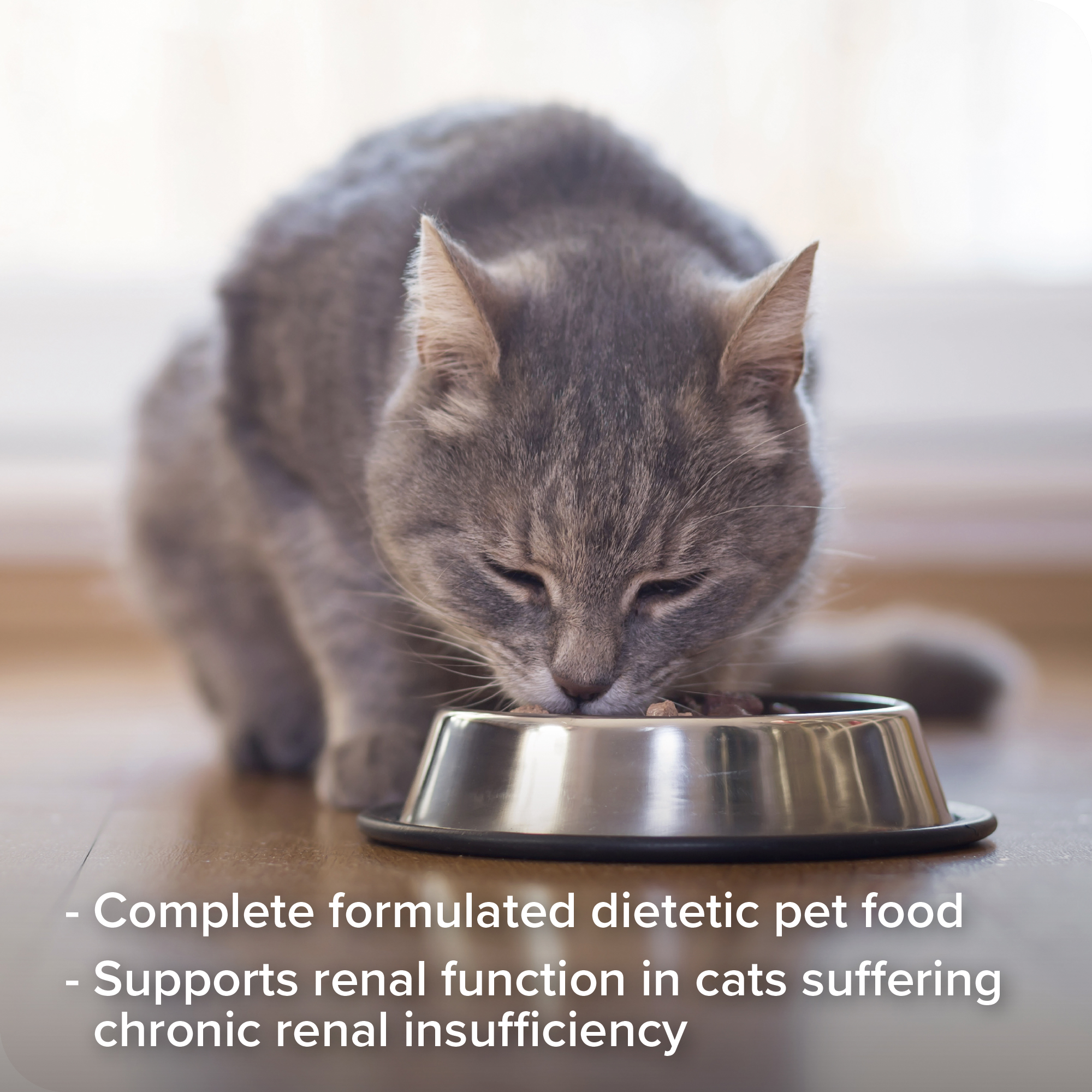 Beaphar Kidney Diet Food for Cats – Duck