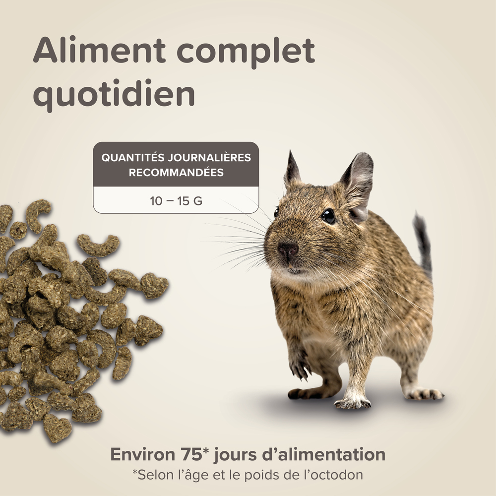 Care+®, Alimentation extrudée super premium pour Octodon - 750g