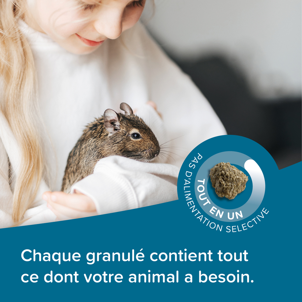 Care+, Alimentation extrudée super premium pour Octodon - 750 g