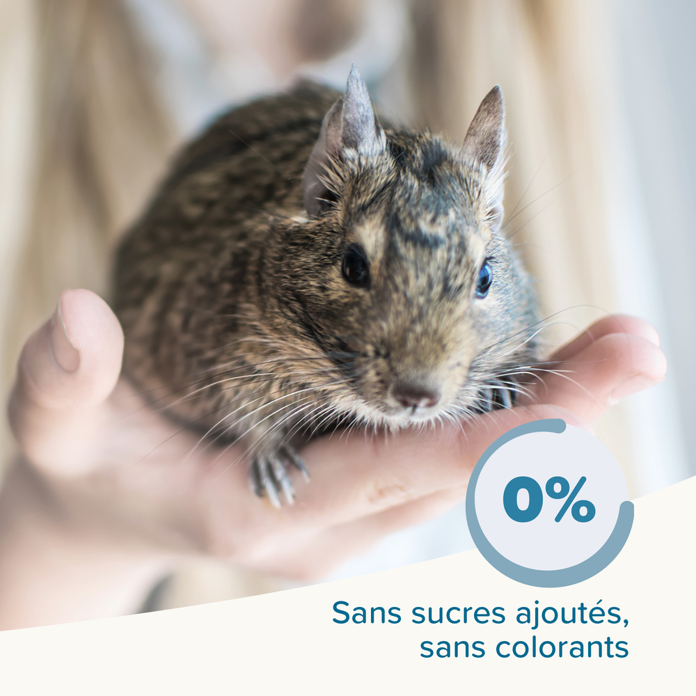 Care+, Alimentation extrudée super premium pour Octodon - 750 g