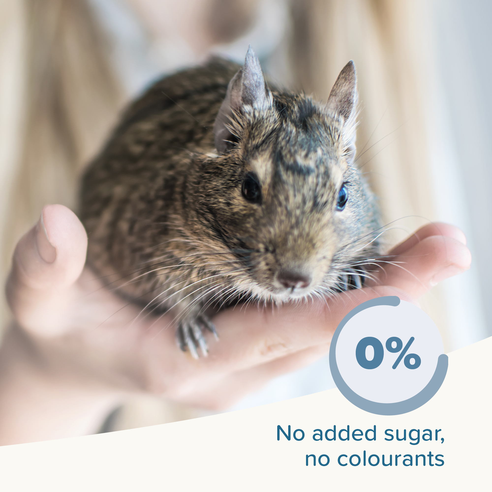 Care+® teljesértékű eledel deguknak, 750g