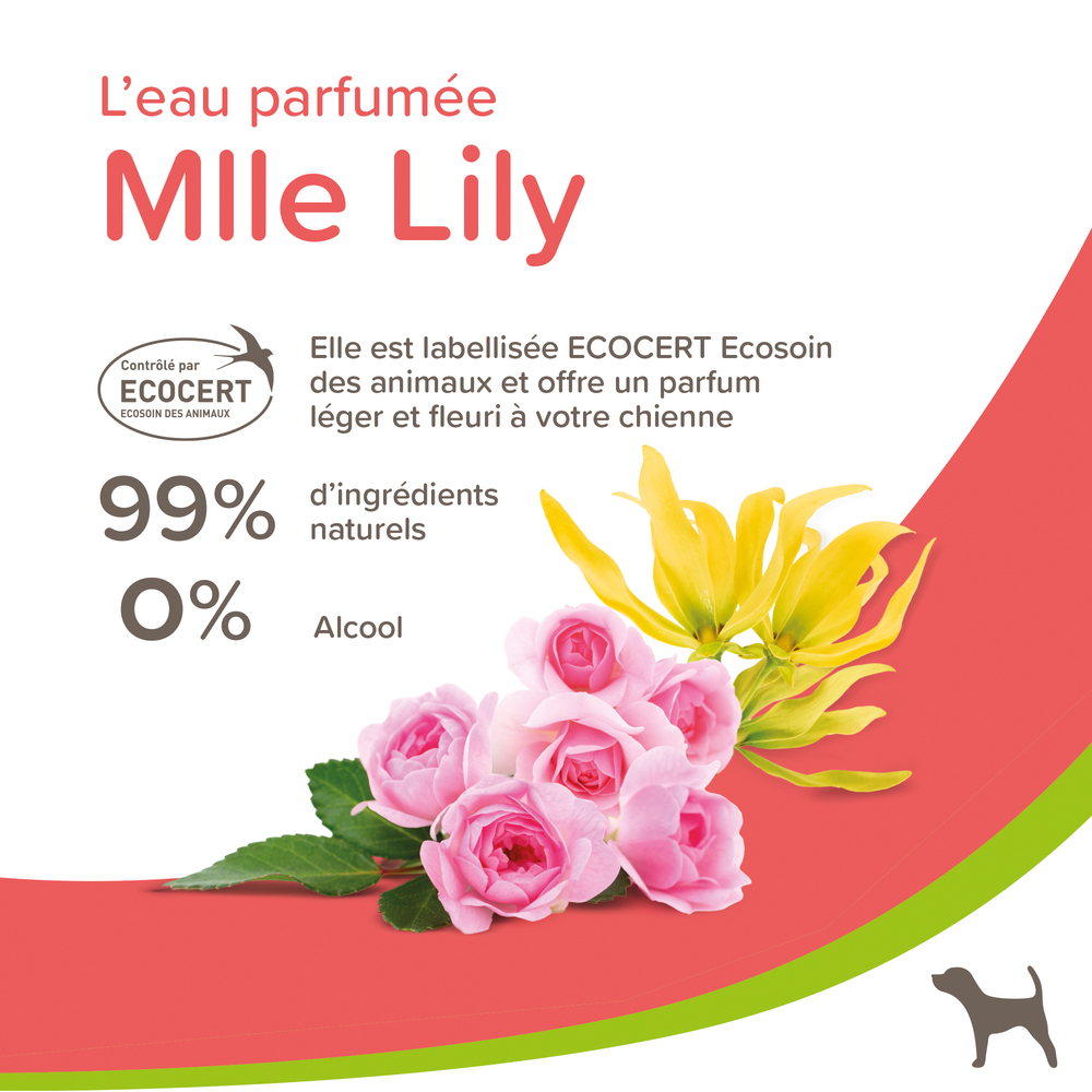 Eau Parfumée Mlle Lily pour Chien - Femelle