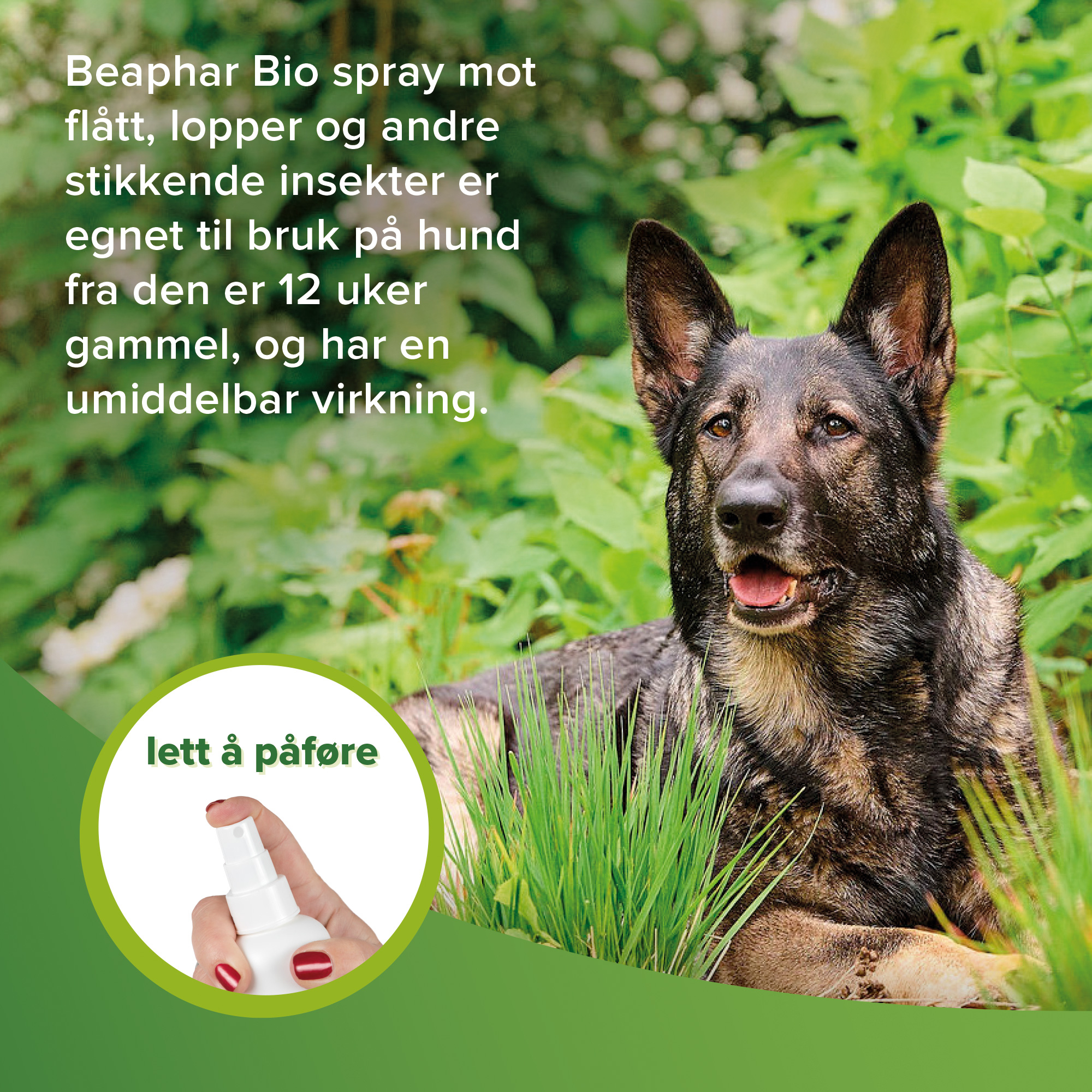 Beaphar Bio spray