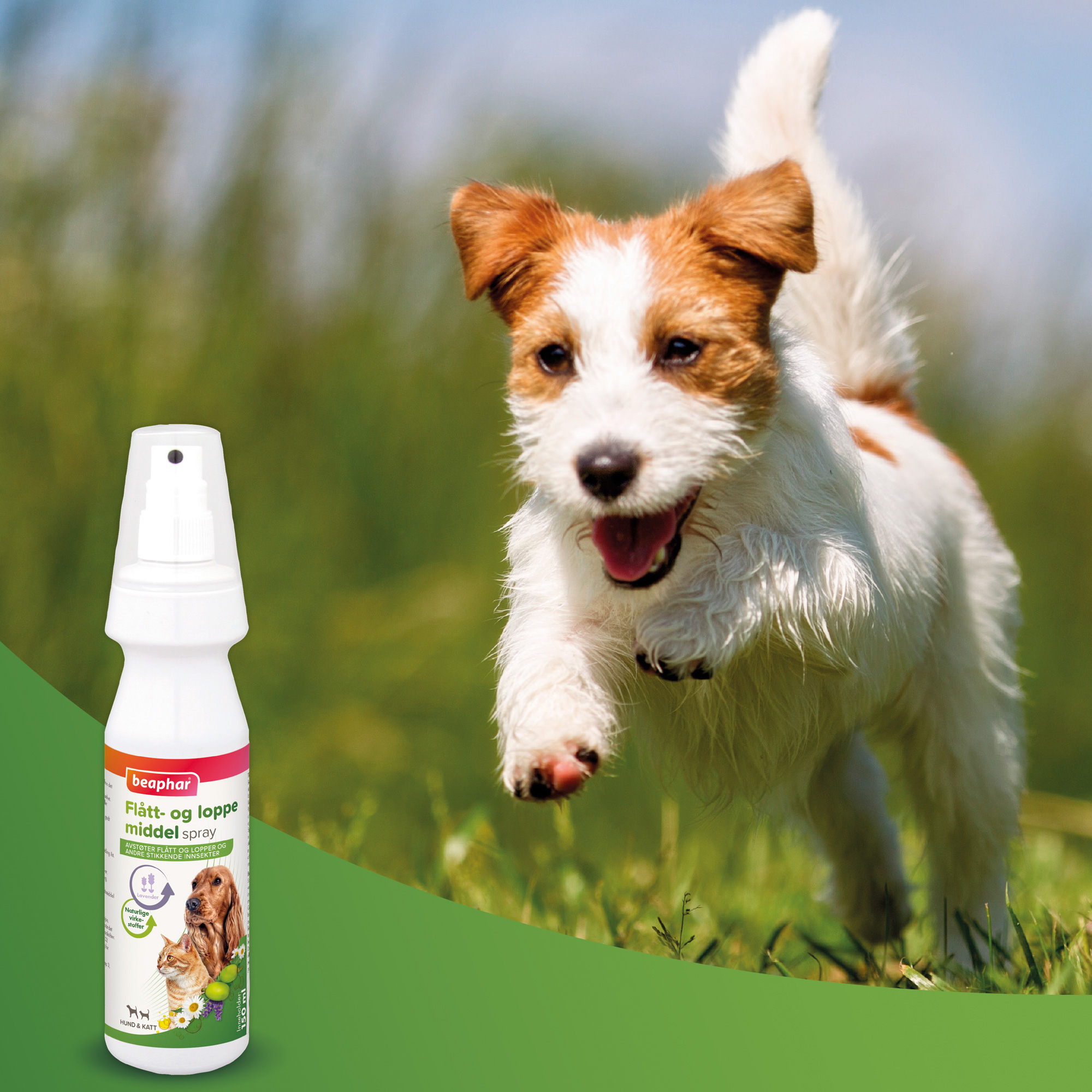 Beaphar Bio spray