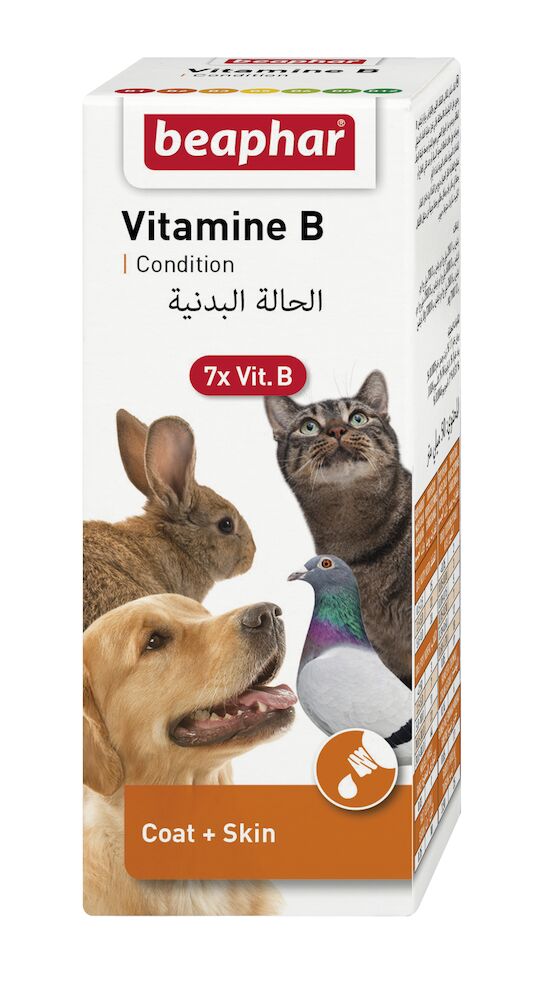 VITAMIN B COMPLEX 50ML - zestaw witamin B
