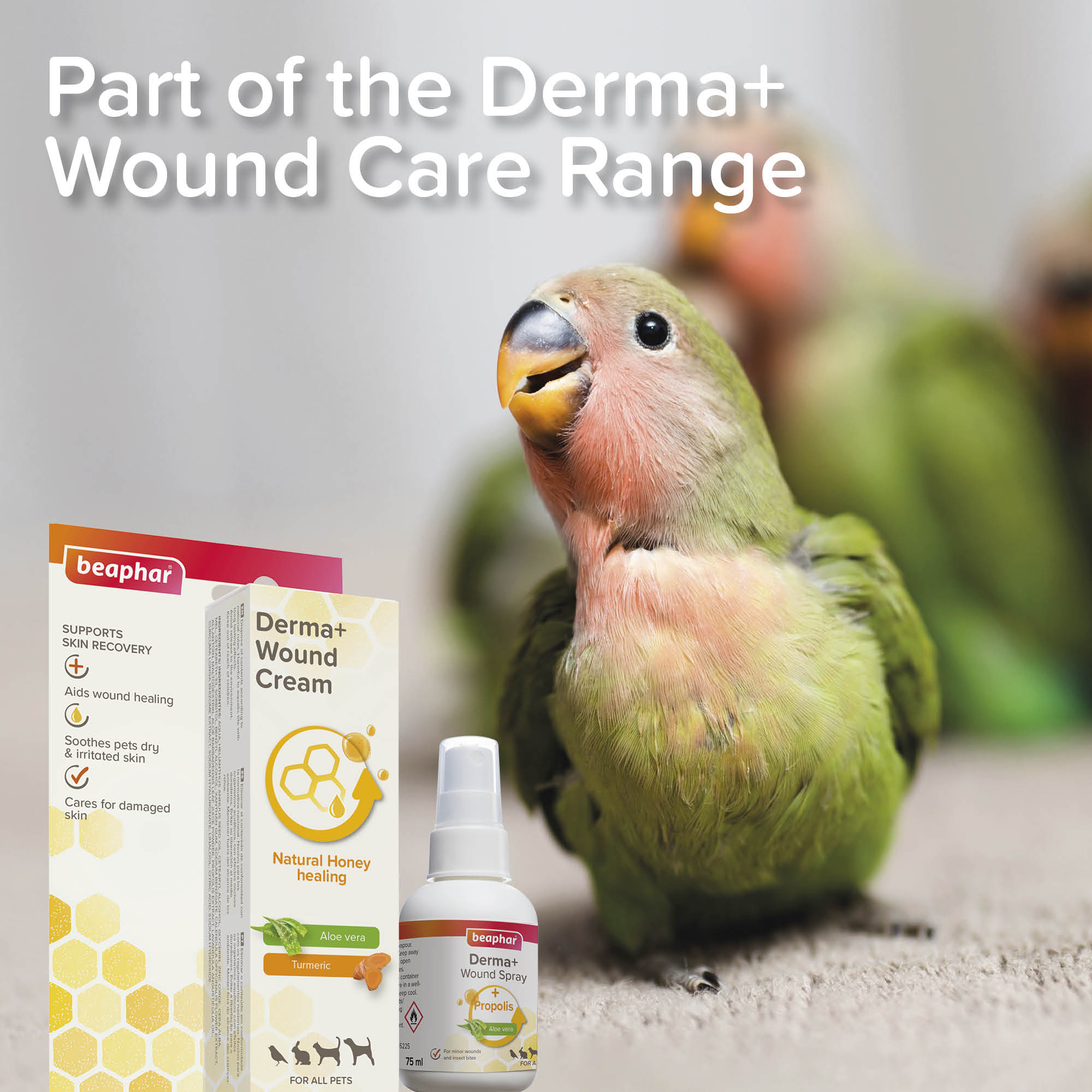 Beaphar Derma+ Wound Spray for Cats, Dogs, Small Animals & Birds, 75ml