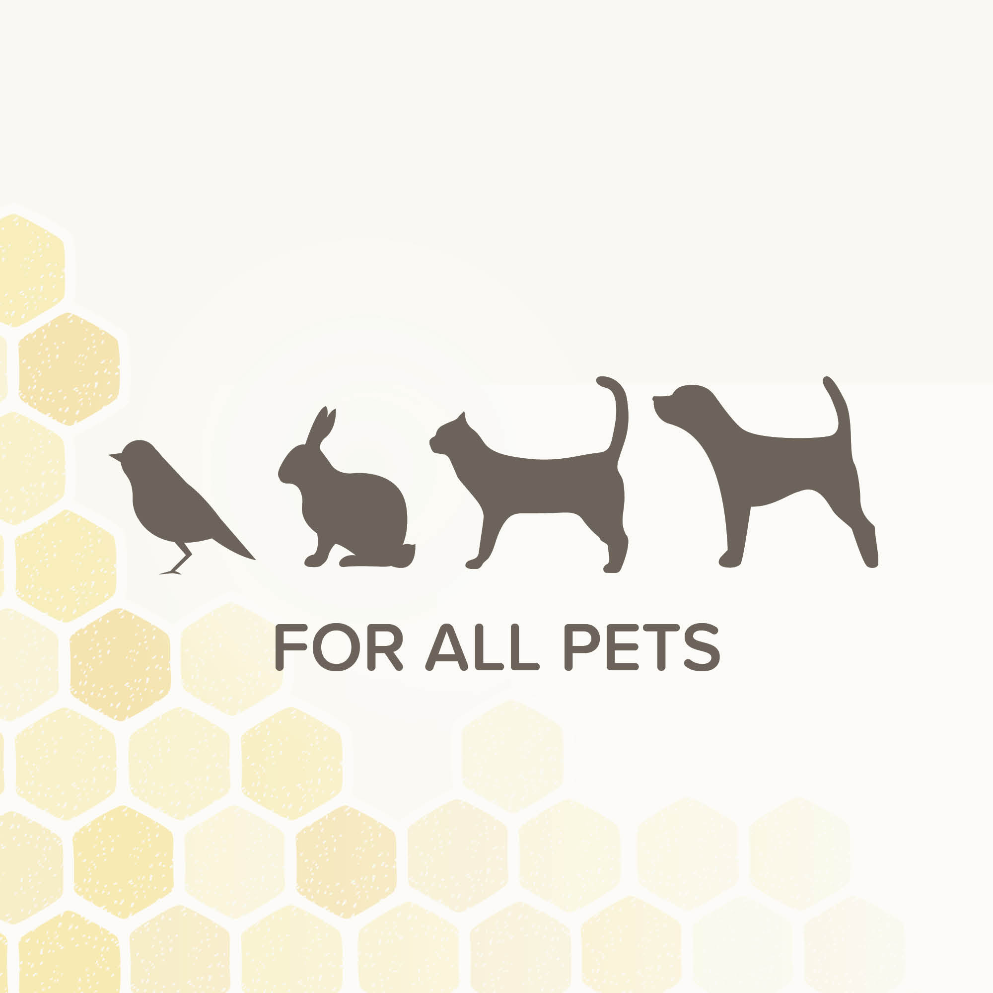 Beaphar Derma+ Wound Spray for Cats, Dogs, Small Animals & Birds, 75ml