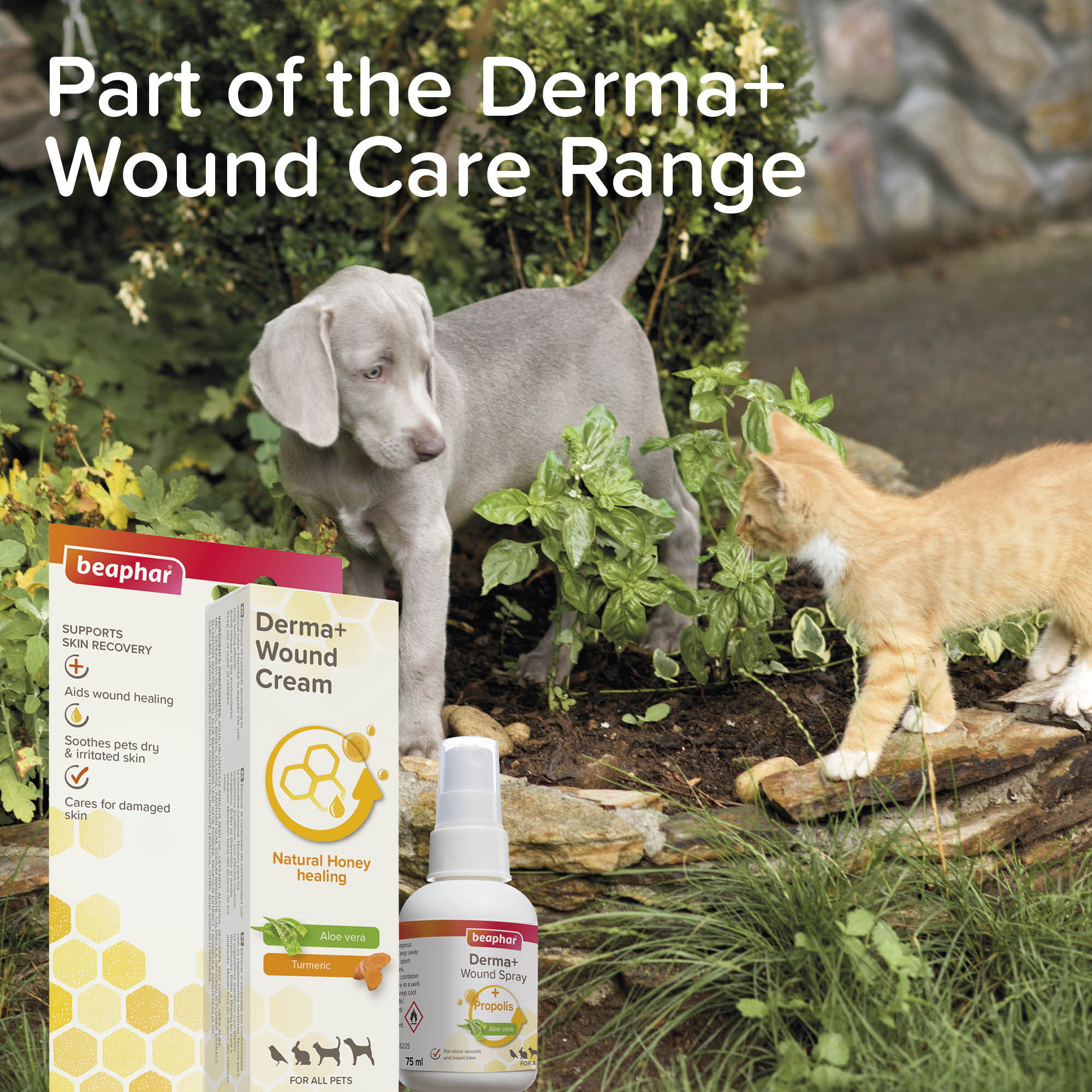 Beaphar Derma+ Wound Spray for Cats, Dogs, Small Animals & Birds, 75ml
