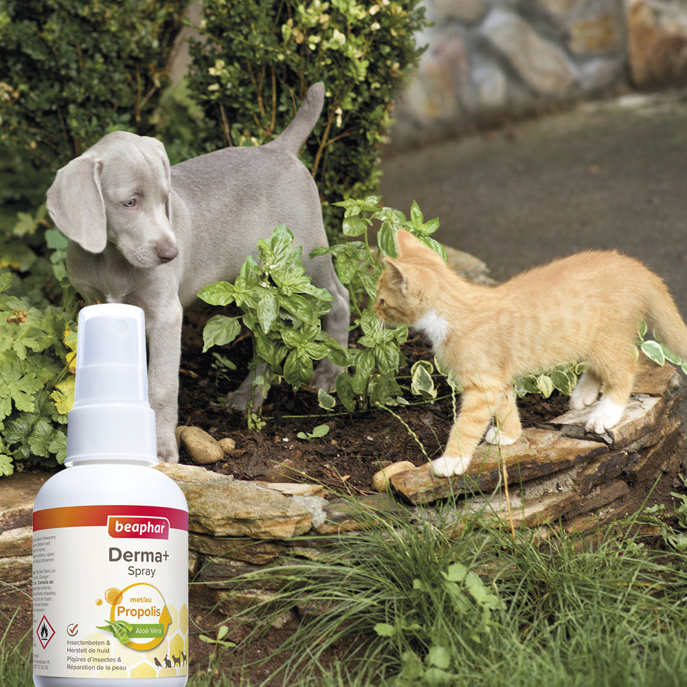 Beaphar Derma+ Spray 75 ml