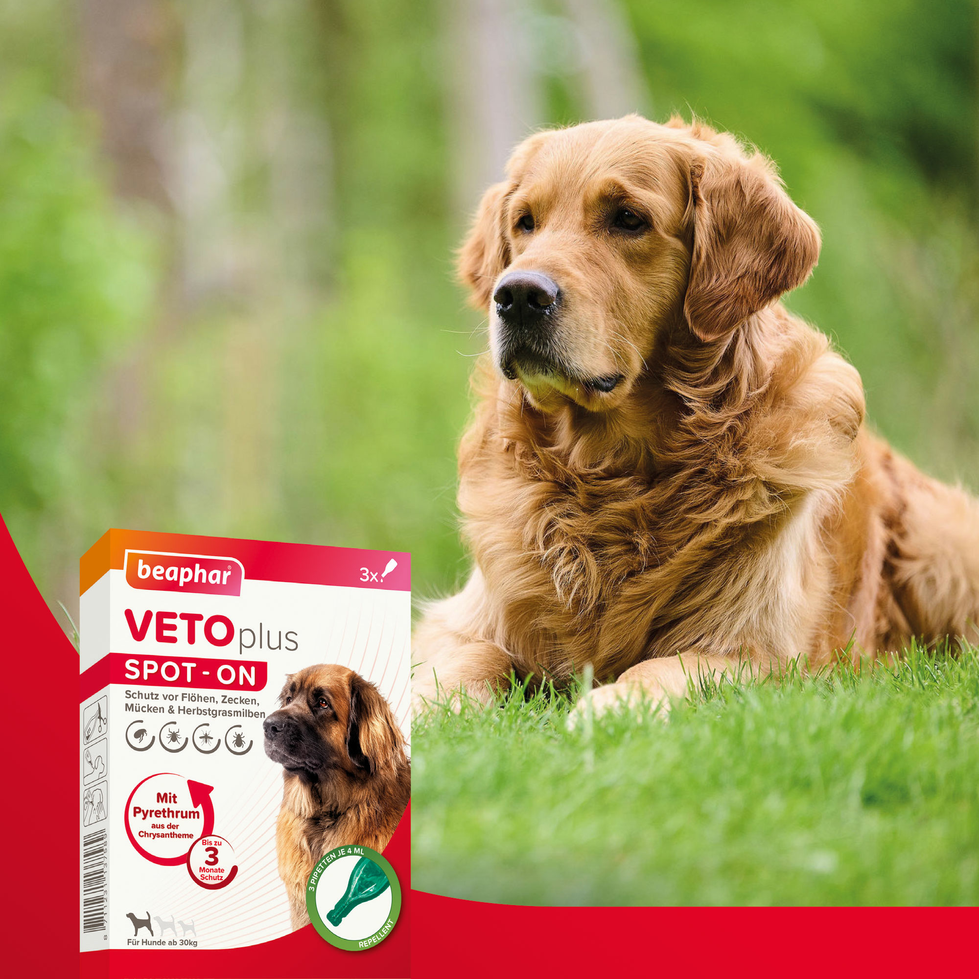 Beaphar VETOplus SPOT-ON für große Hunde (ab 30kg), 3x4ml