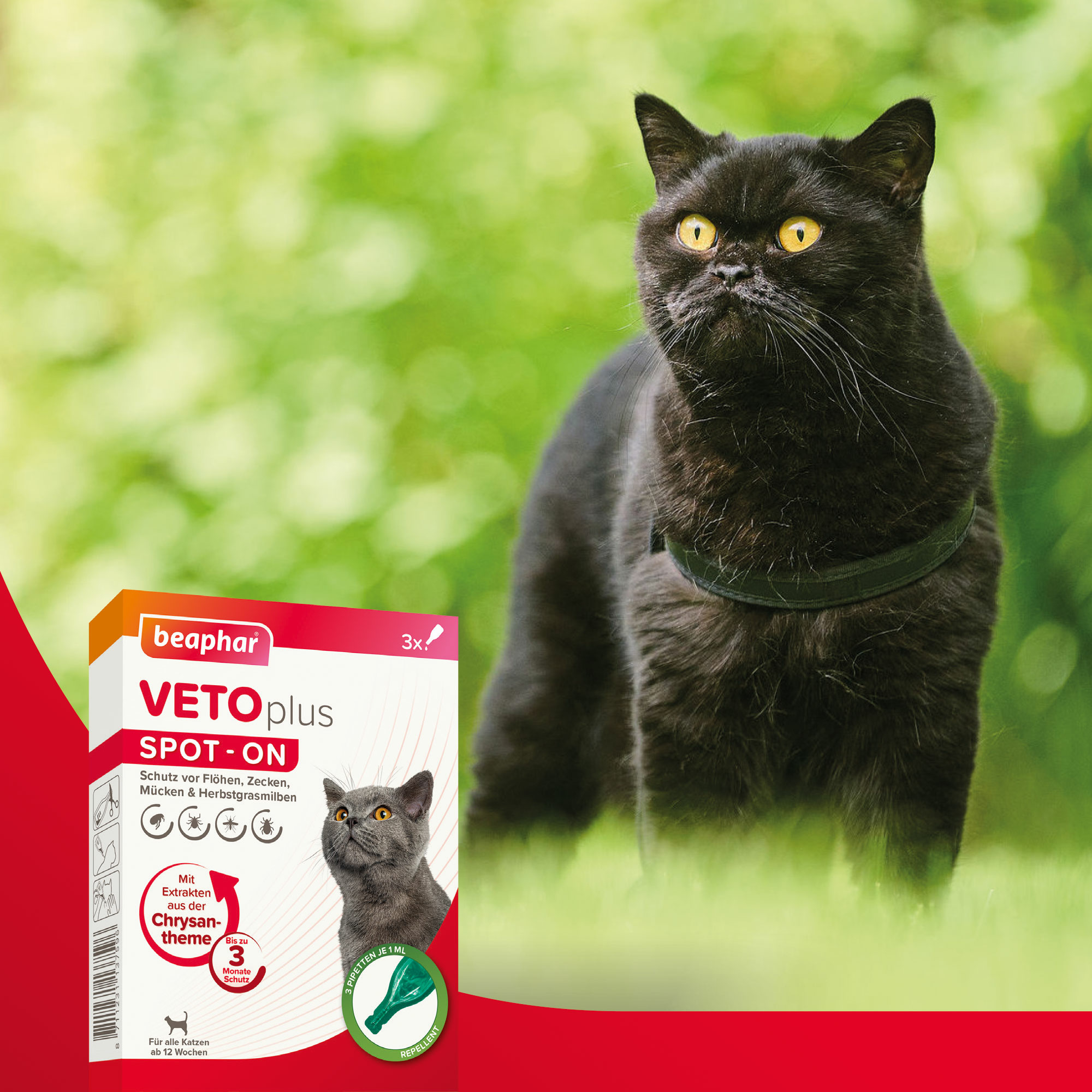 Beaphar VETOplus SPOT-ON für Katzen, 3x1ml