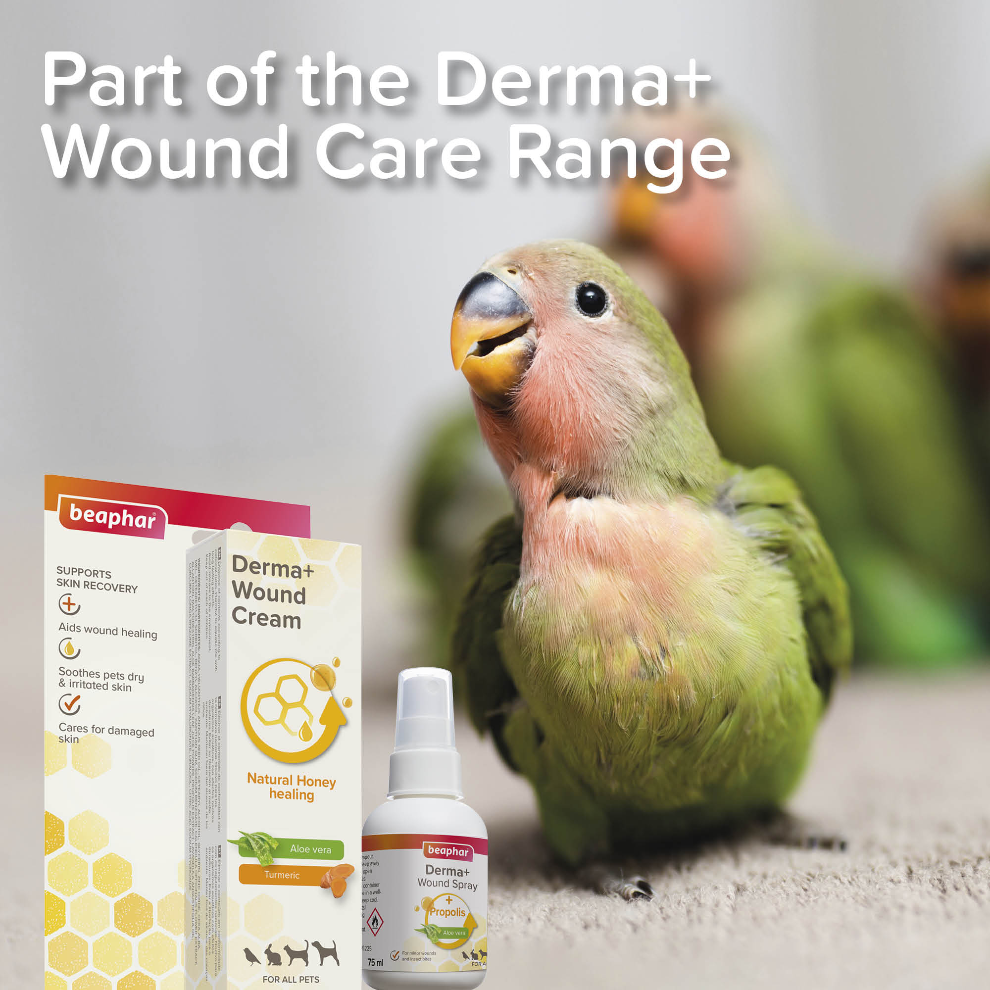 Beaphar Derma+ Wound Cream for Cats, Dogs, Small Animals & Birds, 30ml
