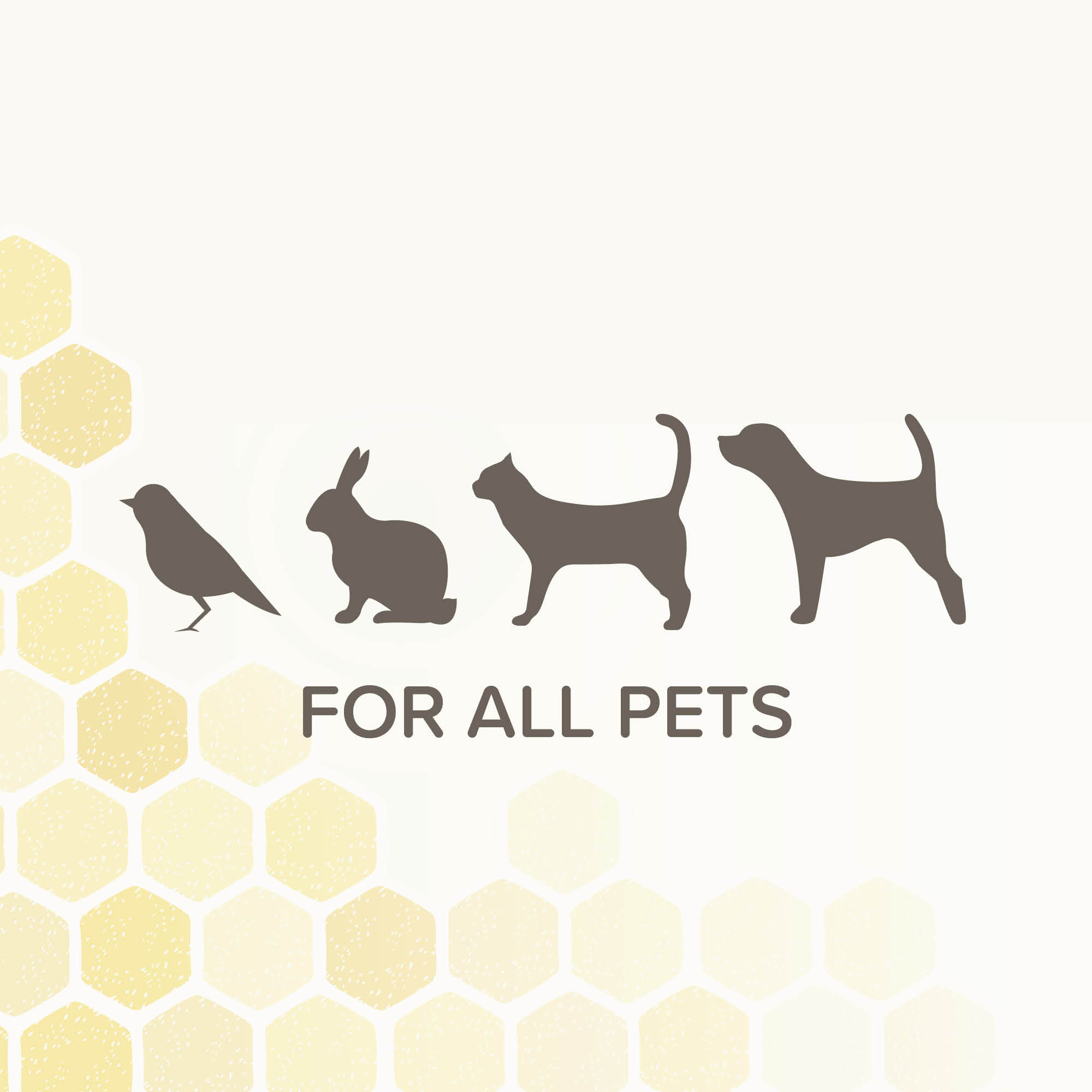 Beaphar Derma+ Wound Cream for Cats, Dogs, Small Animals & Birds, 30ml