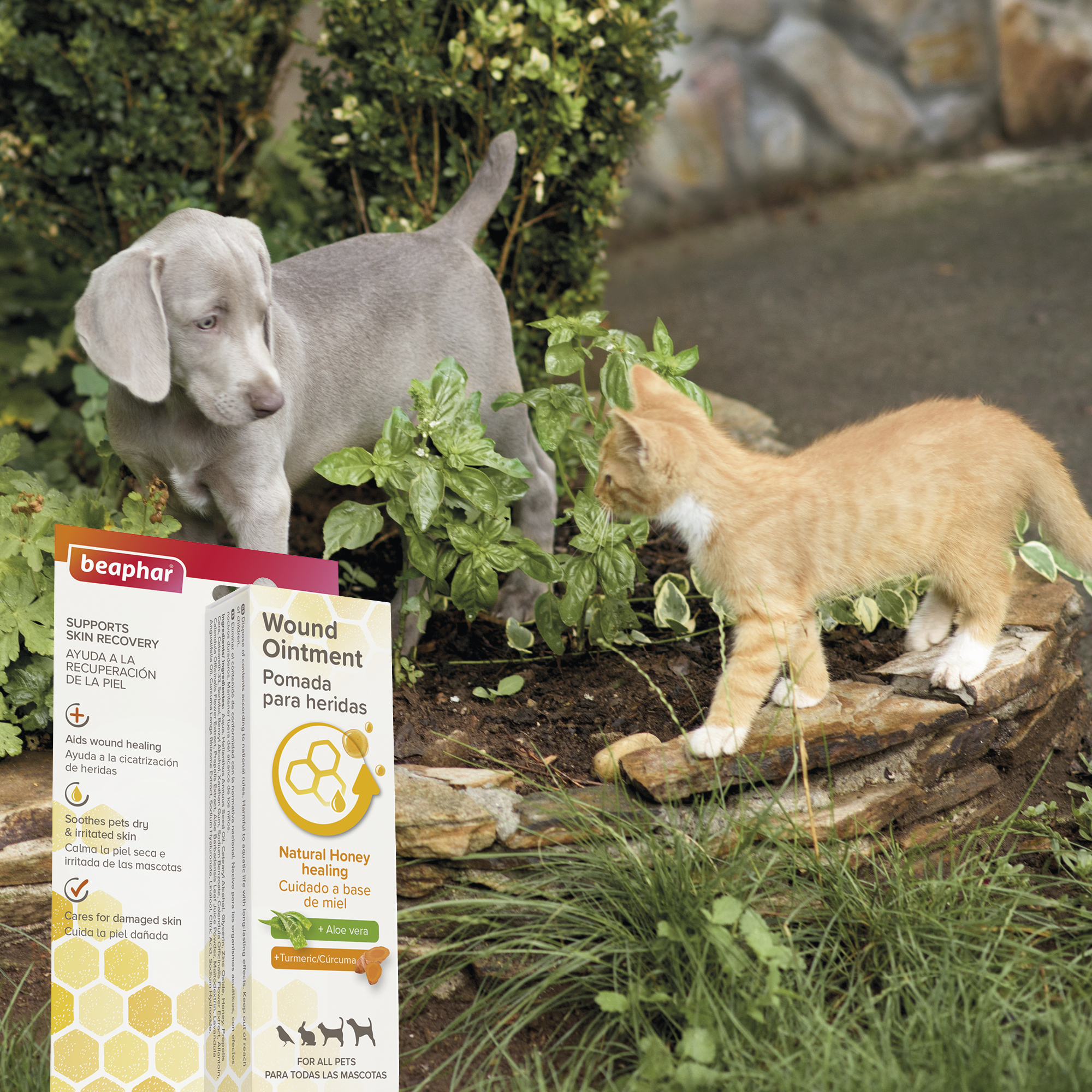 Beaphar Derma+ Wound Cream