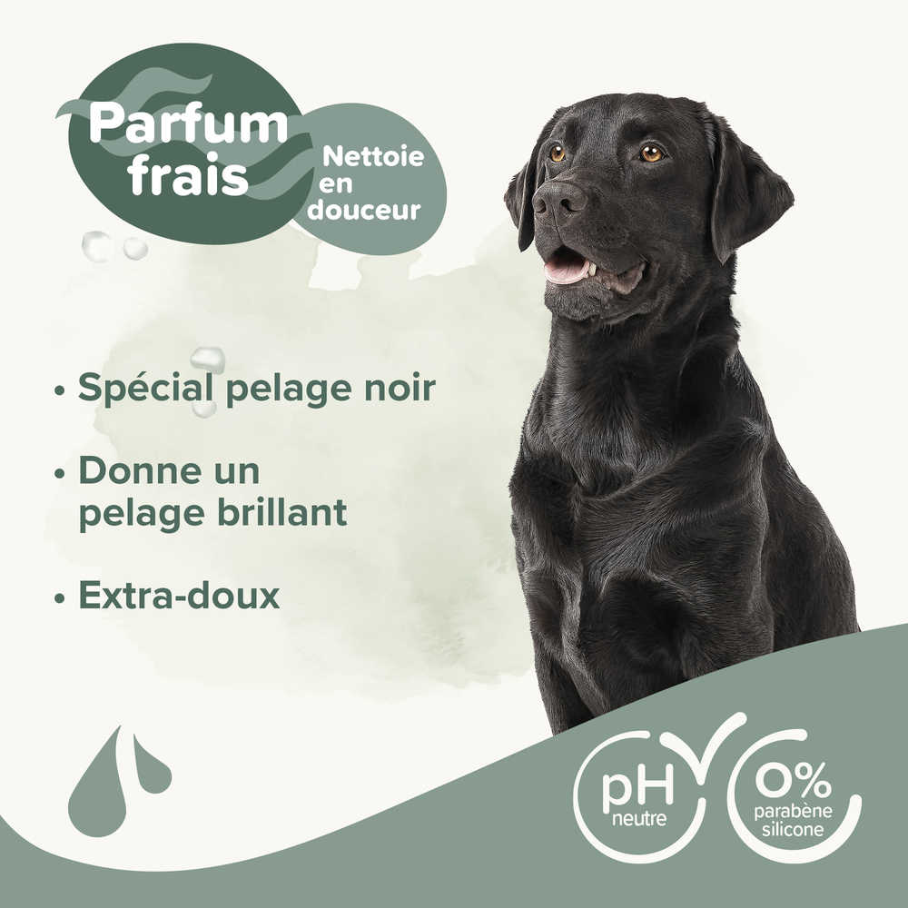 ESSENTIEL - Shampooing pelage noir pour chien - 250 ml