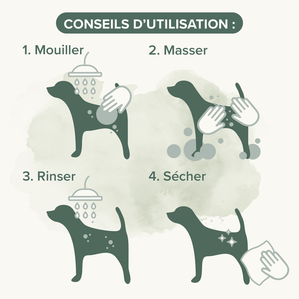 ESSENTIEL - Shampooing pelage noir pour chien - 250 ml