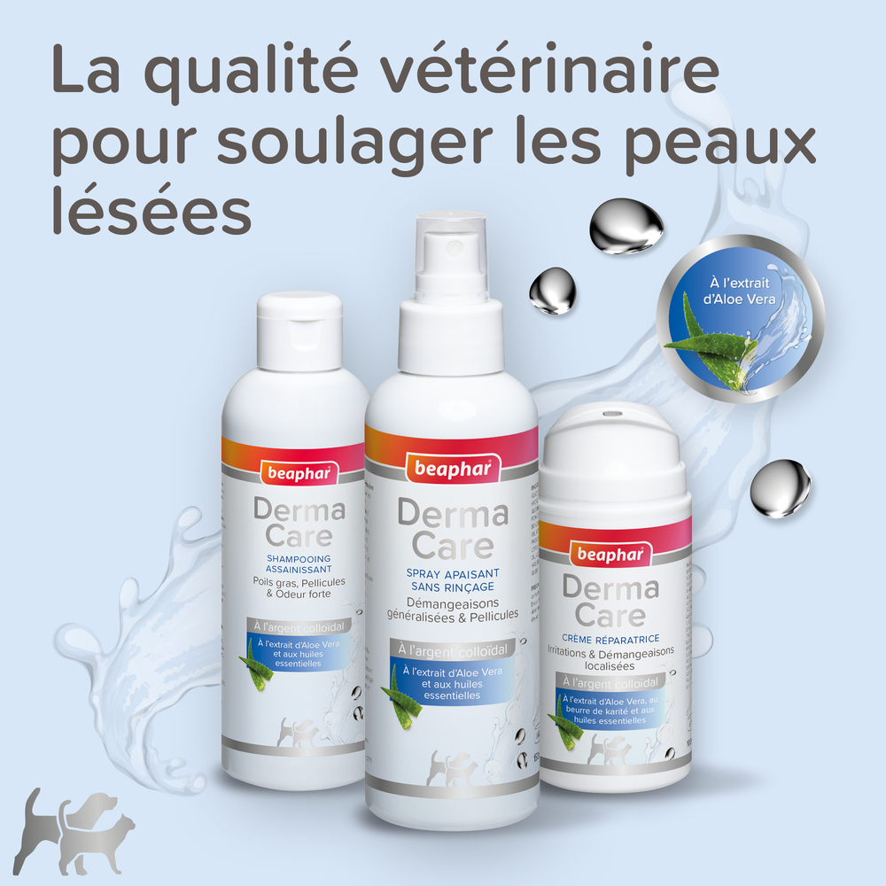 DermaCare, Spray apaisant sans rinçage pour chien et chat