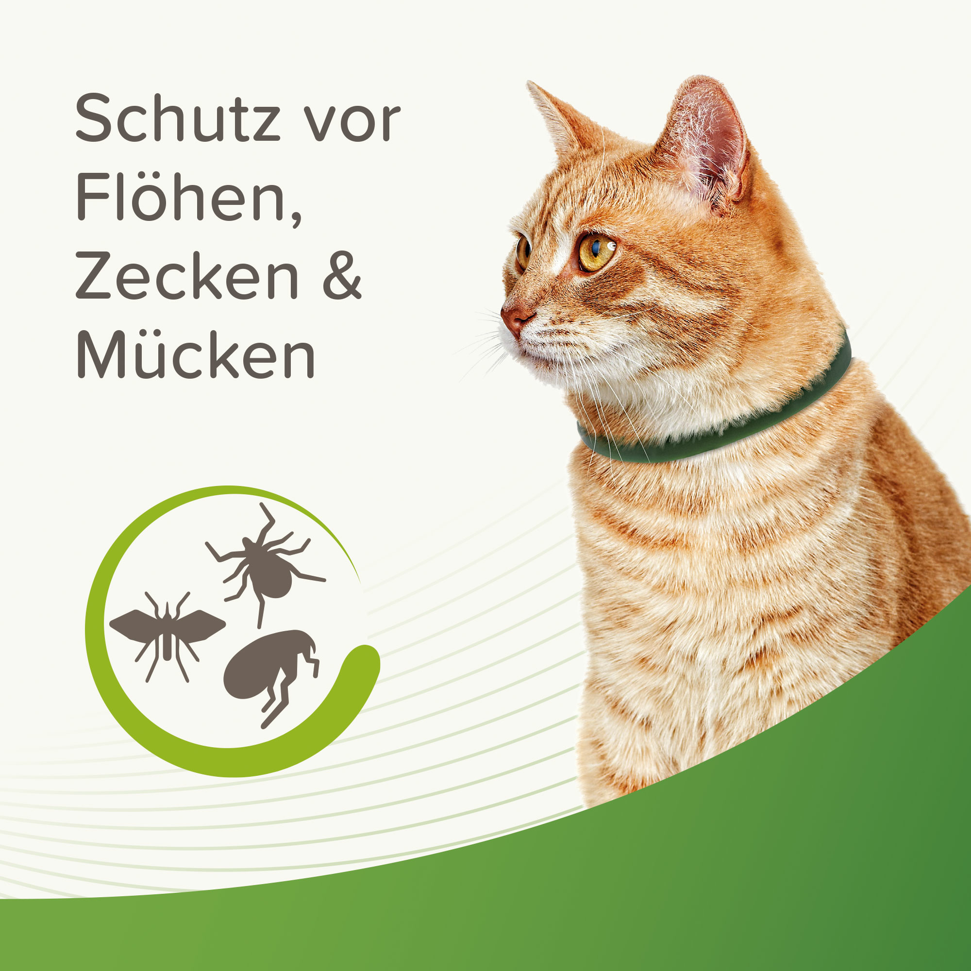 Beaphar Zecken- und Flohschutz Halsband, 35cm