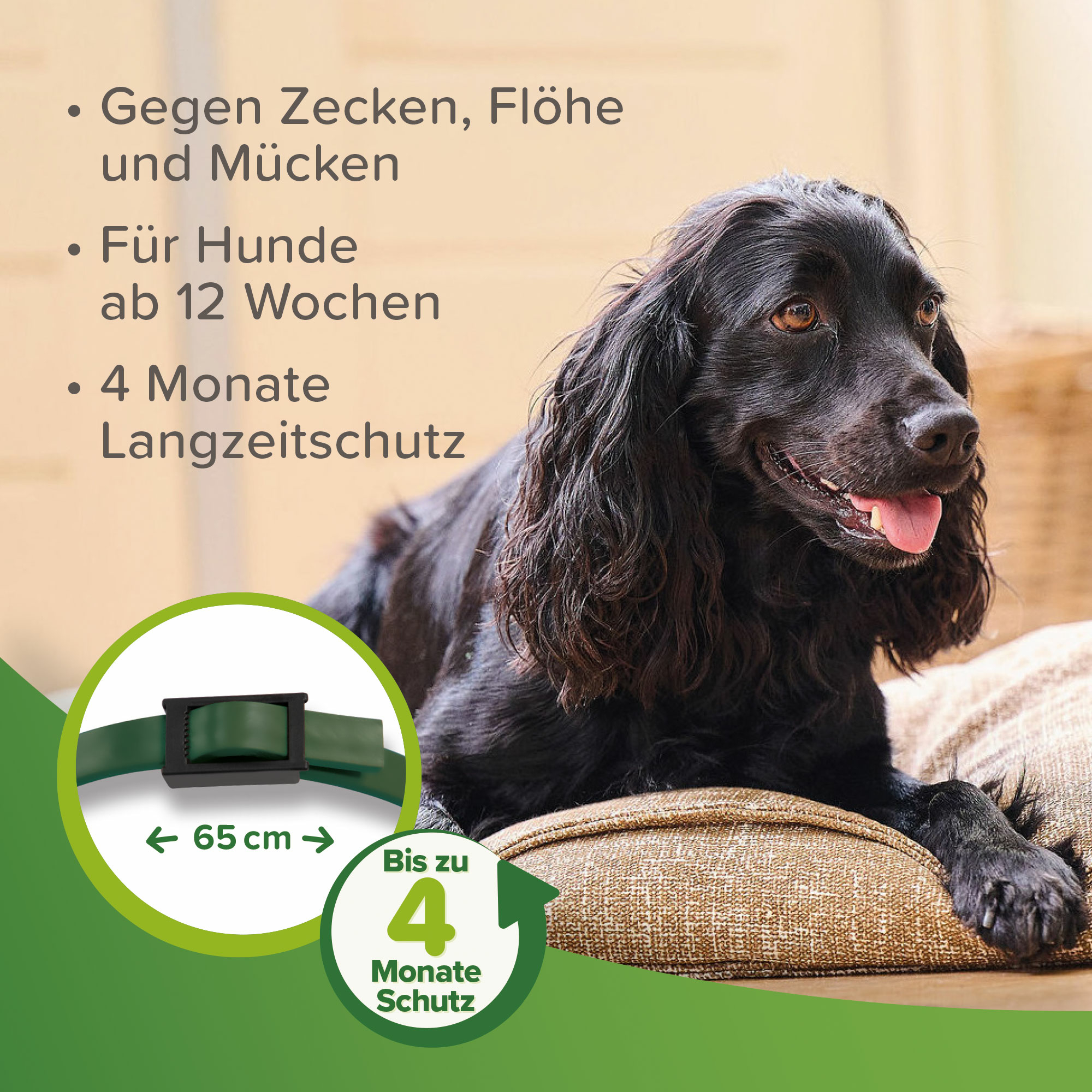 Beaphar Zecken- und Flohschutz Halsband, 65cm