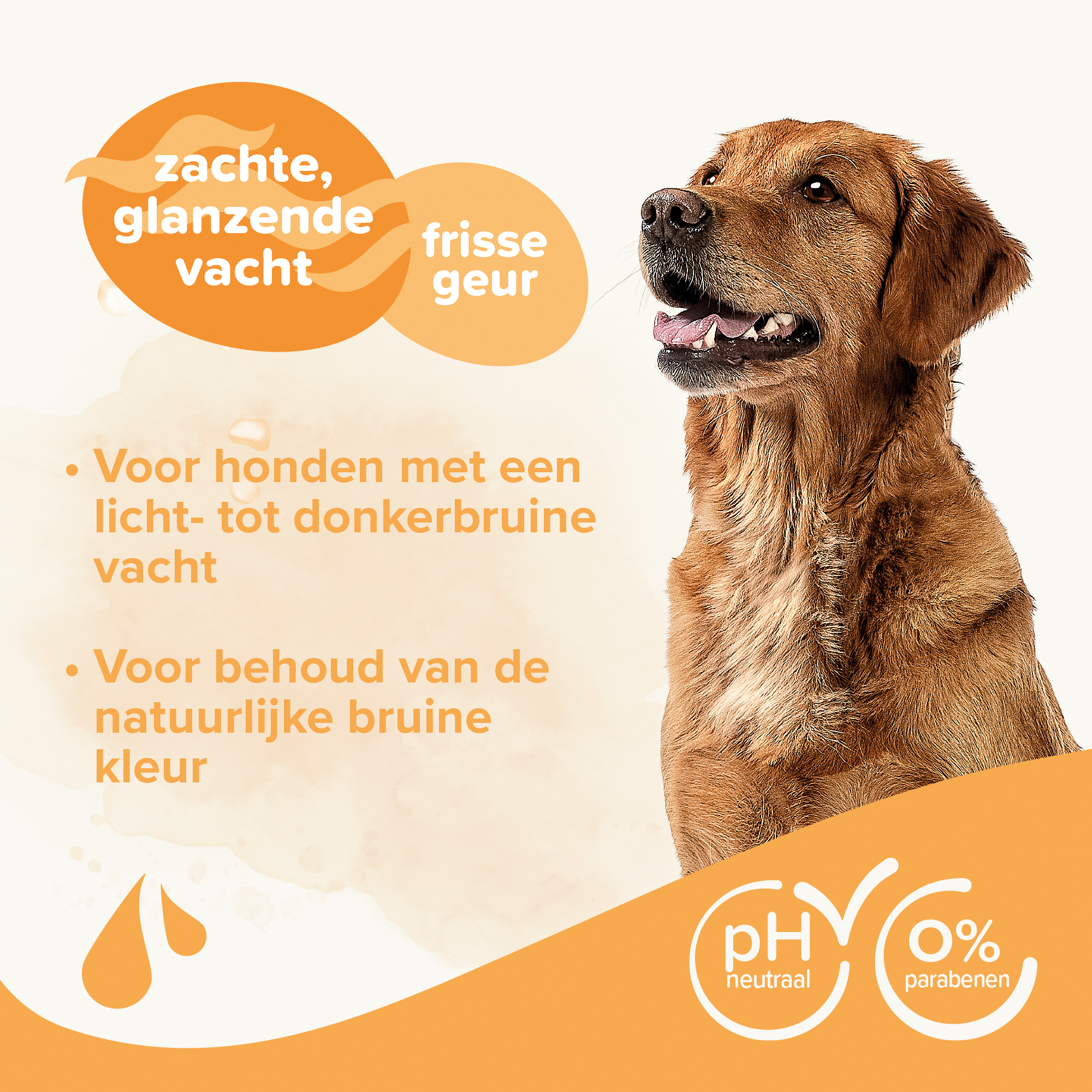 Shampoo Bruine Vacht Hond 250ml