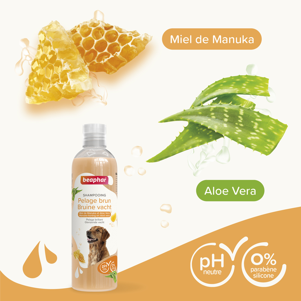 ESSENTIEL - Shampooing pour chien au pelage brun - 250 ml