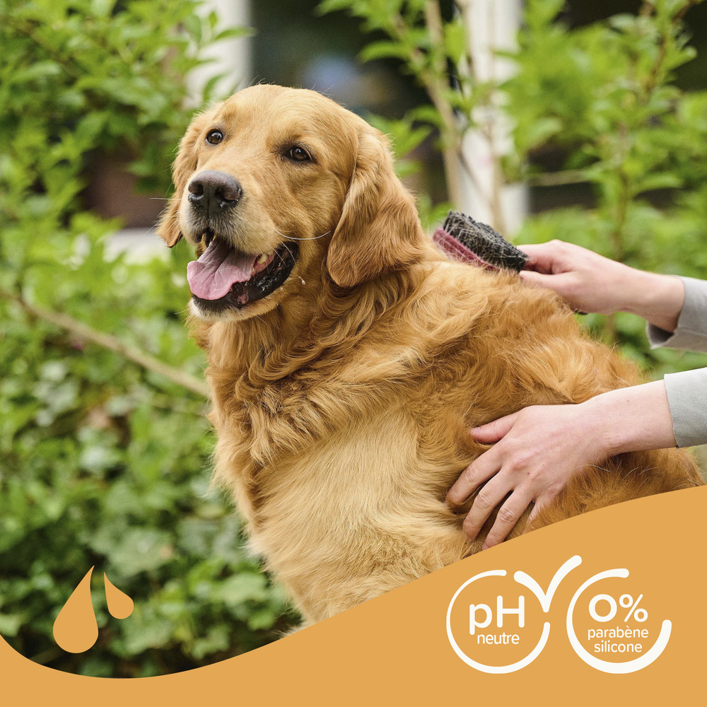 ESSENTIEL - Shampooing pour chien au pelage brun - 250 ml