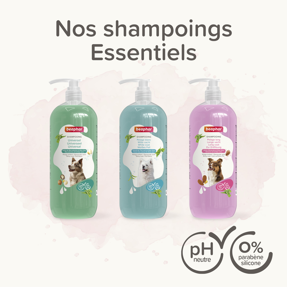 ESSENTIEL - Shampooing pour chien au pelage brun - 250 ml