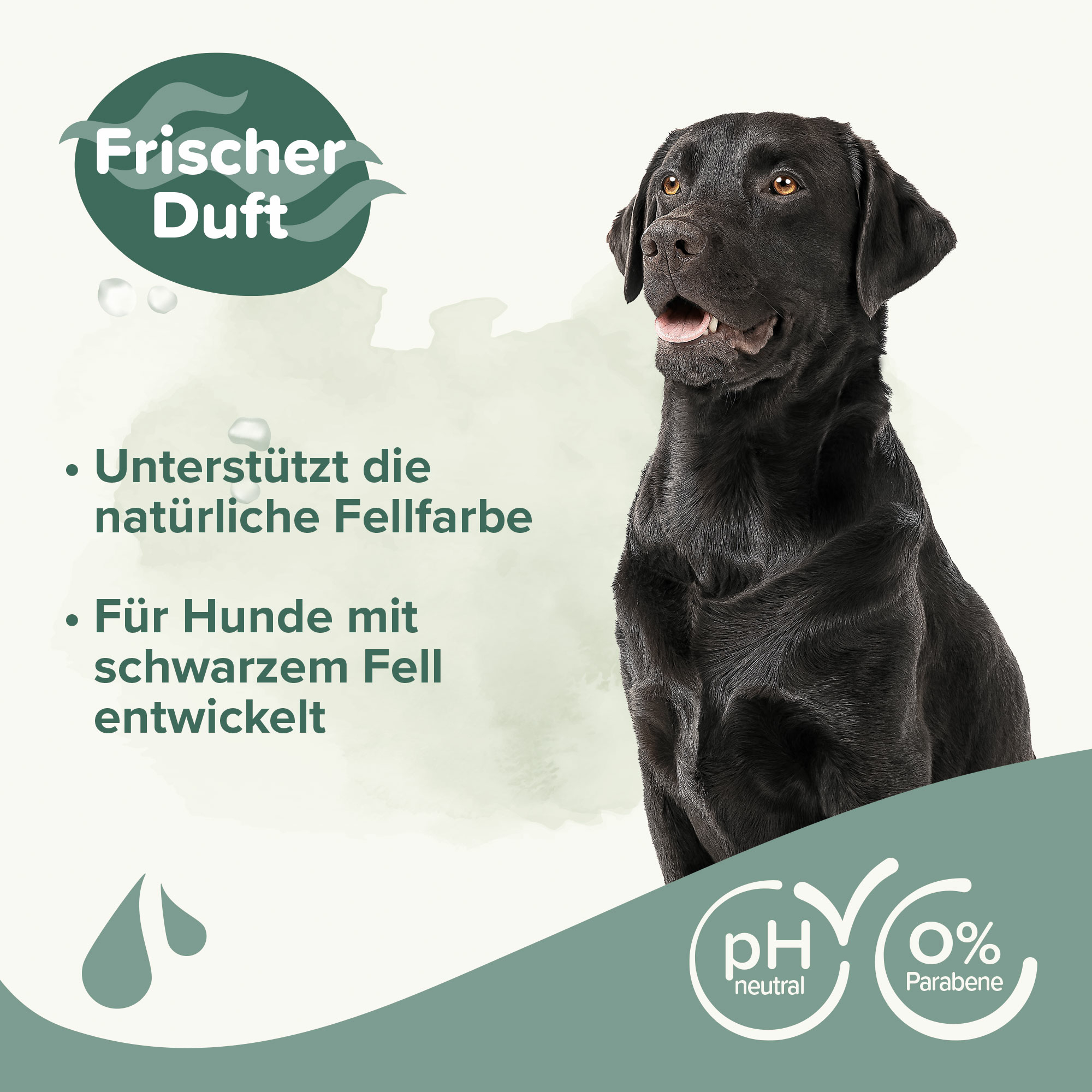 Shampoo für Schwarzes Fell, 250ml