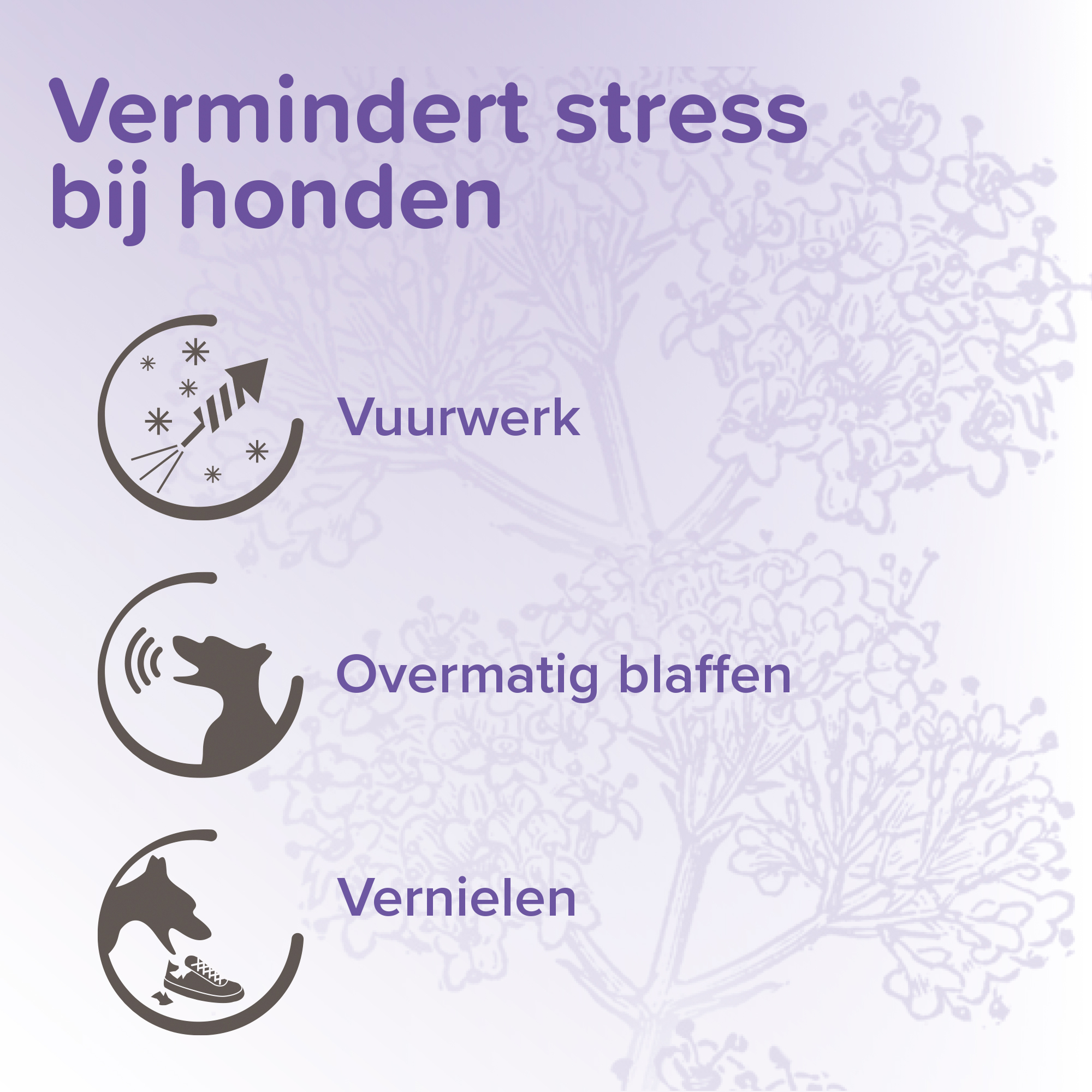 Beaphar No Stress Spot-On hond 3 pipetten