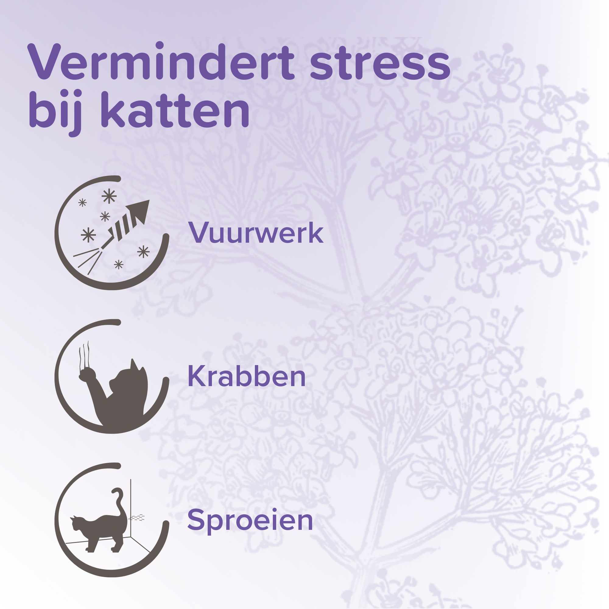 Beaphar No Stress Spot On kat 3 pipetten