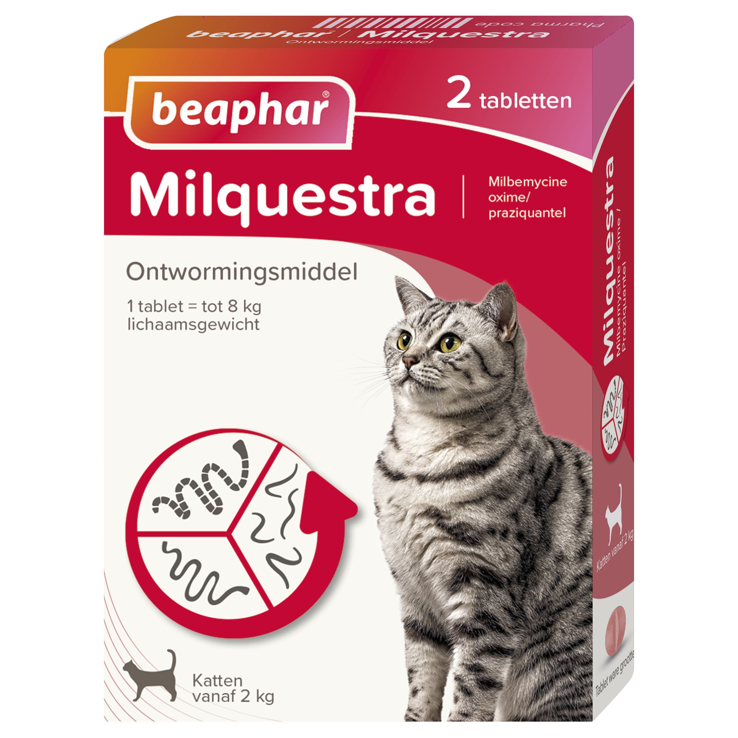 Beaphar Milquestra ontwormingsmiddel kat 2 tabletten