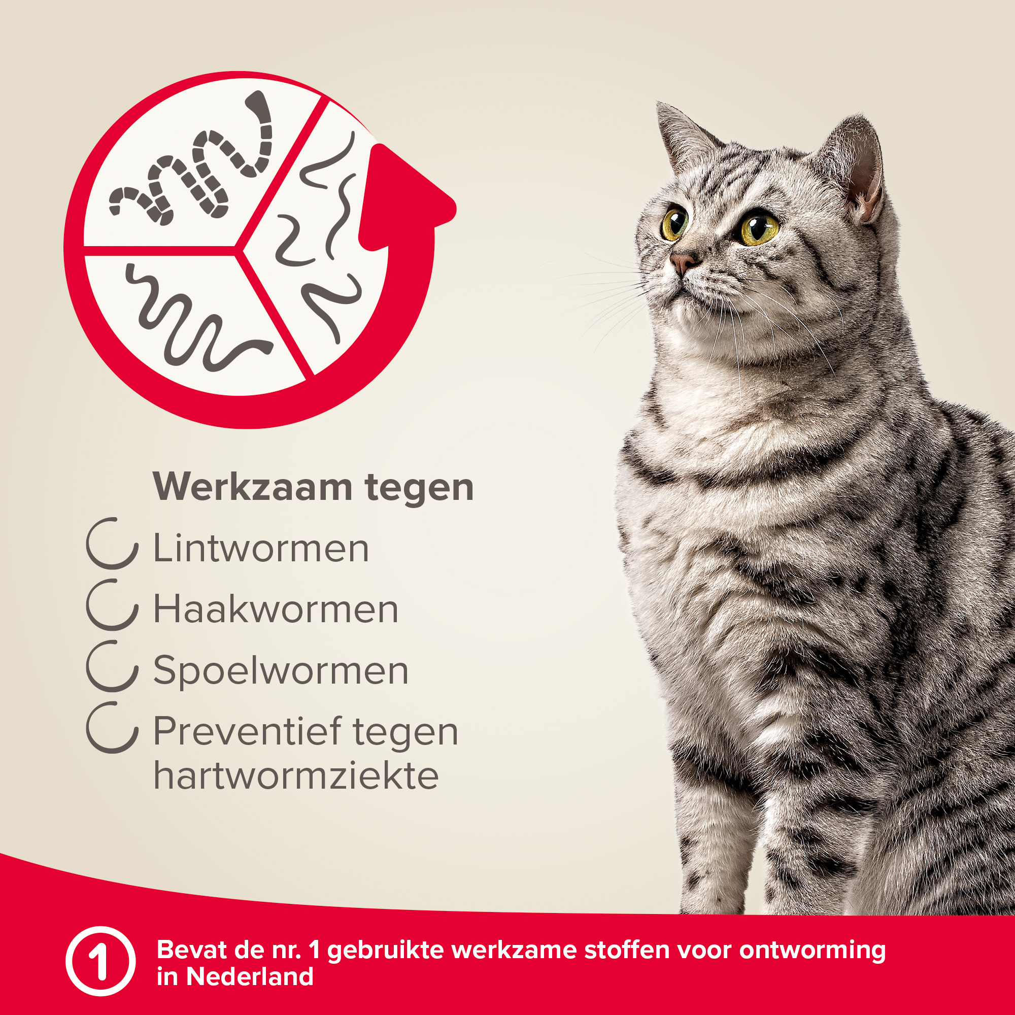 Beaphar Milquestra ontwormingsmiddel kat 2 tabletten