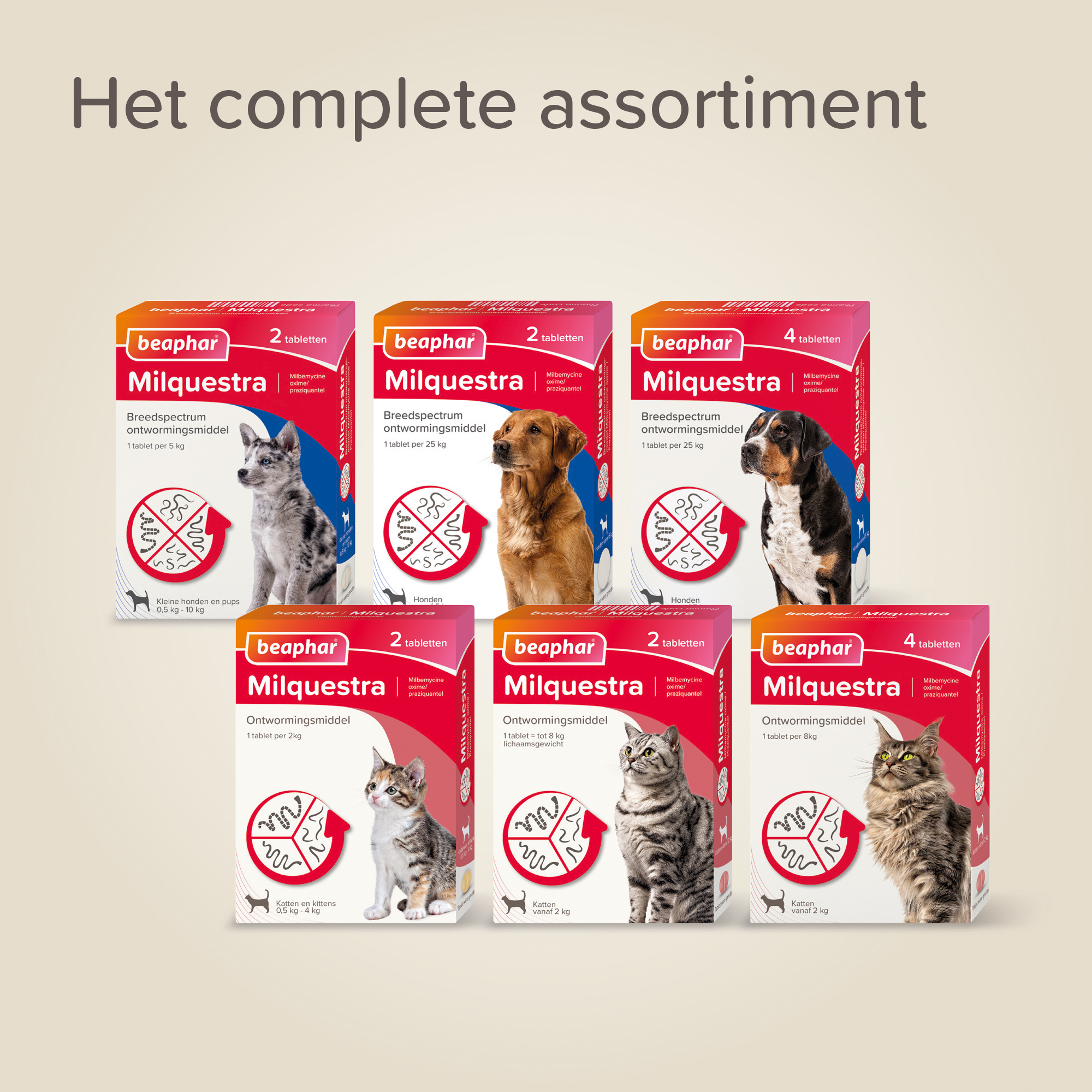 Beaphar Milquestra ontwormingsmiddel kat 4 tabletten