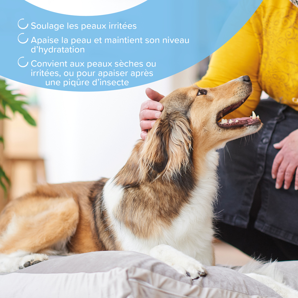 Gamme EXPERTS, Spray Apaisant pour chien et chat - 250 ml