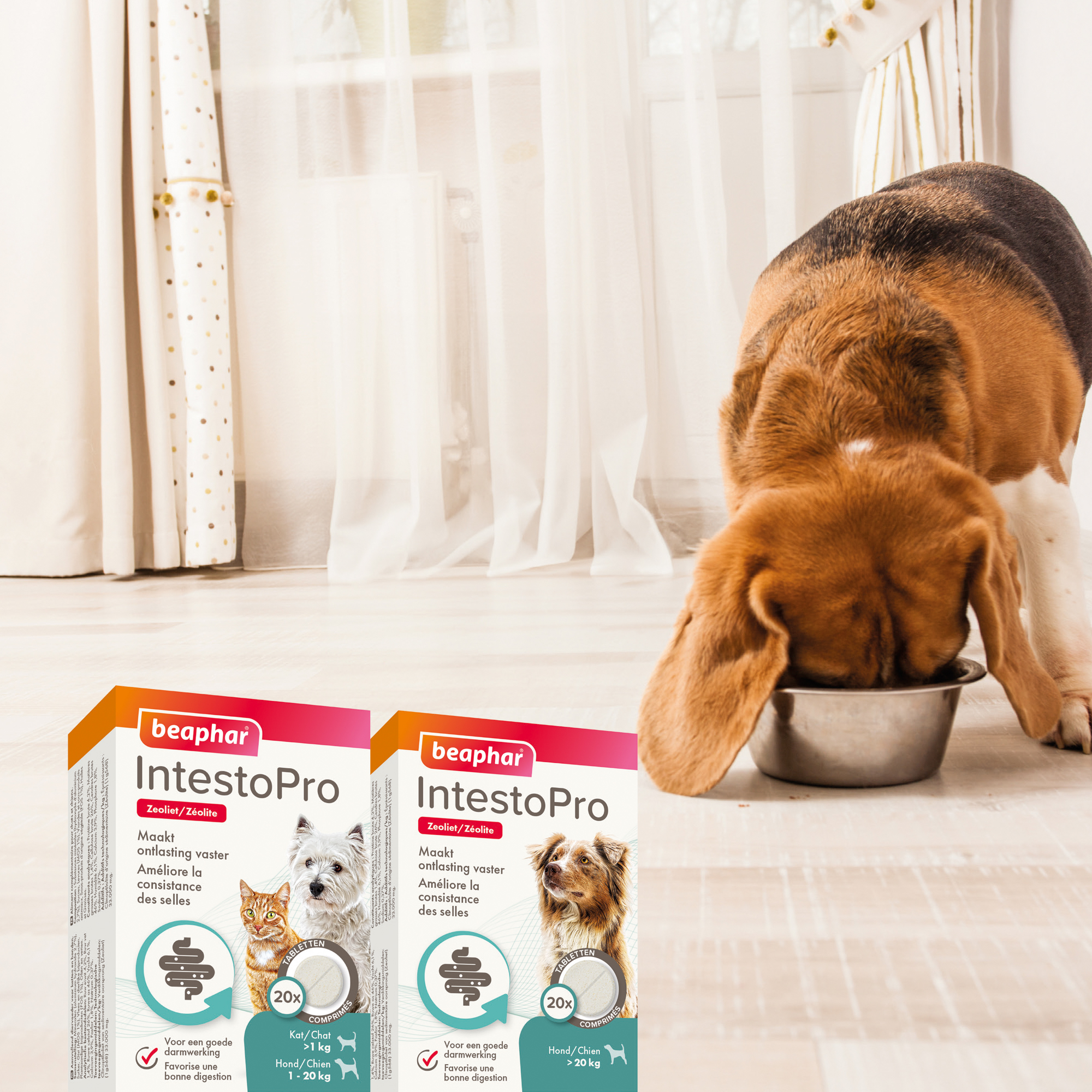 Beaphar IntestoPro tabletten kat/hond tot 20kg