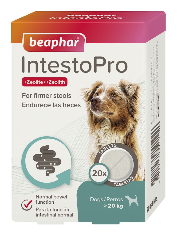 Tablety Beaphar IntestoPro L pro velké psy