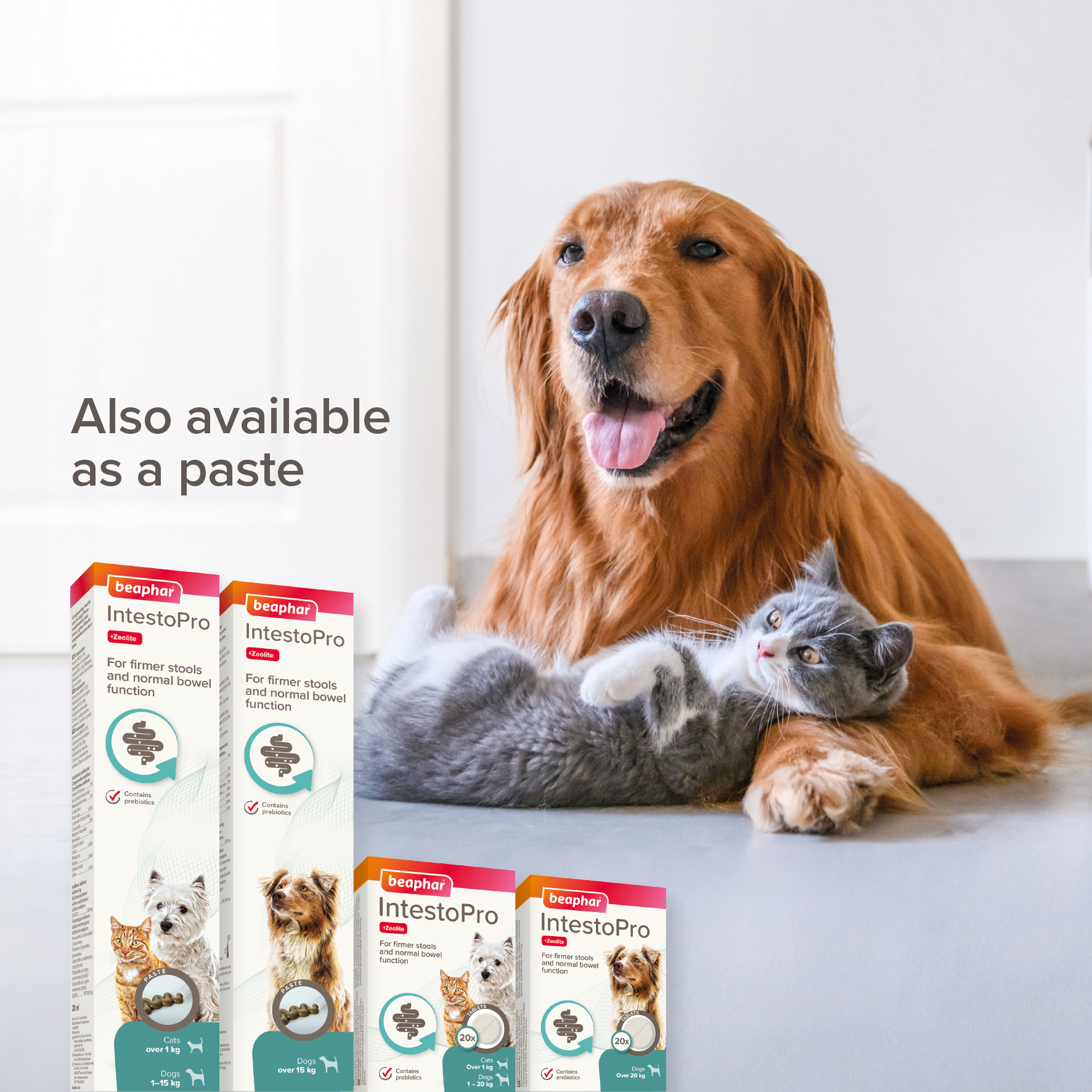 Beaphar IntestoPro Prebiotic Stool Firming Tablets for Medium & Large Dogs (over 20kg)