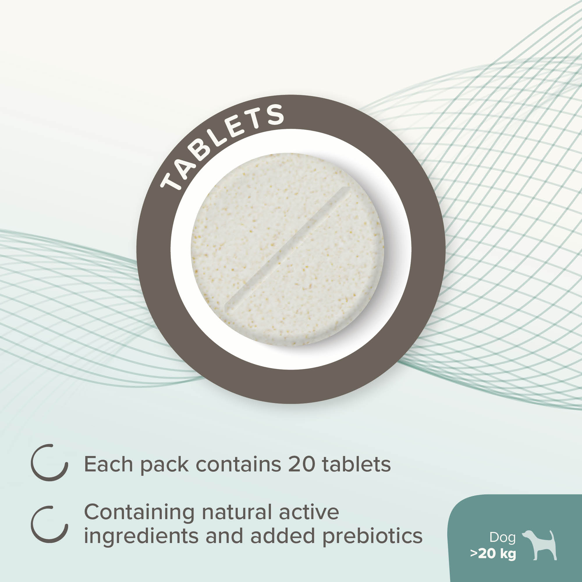 Beaphar IntestoPro Prebiotic Stool Firming Tablets for Medium & Large Dogs (over 20kg), 20 tablets