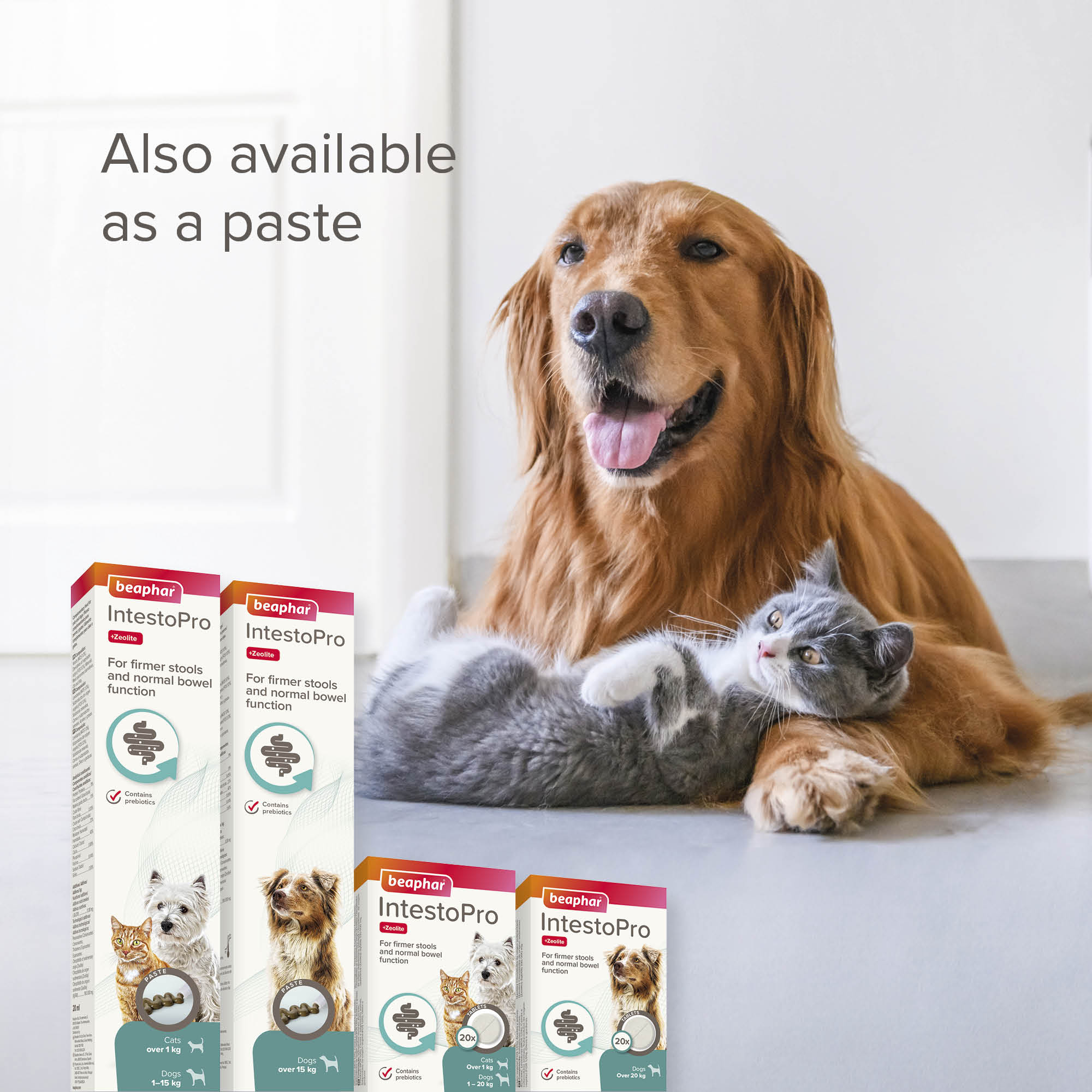Beaphar IntestoPro Prebiotic Stool Firming Tablets for Medium & Large Dogs (over 20kg), 20 tablets