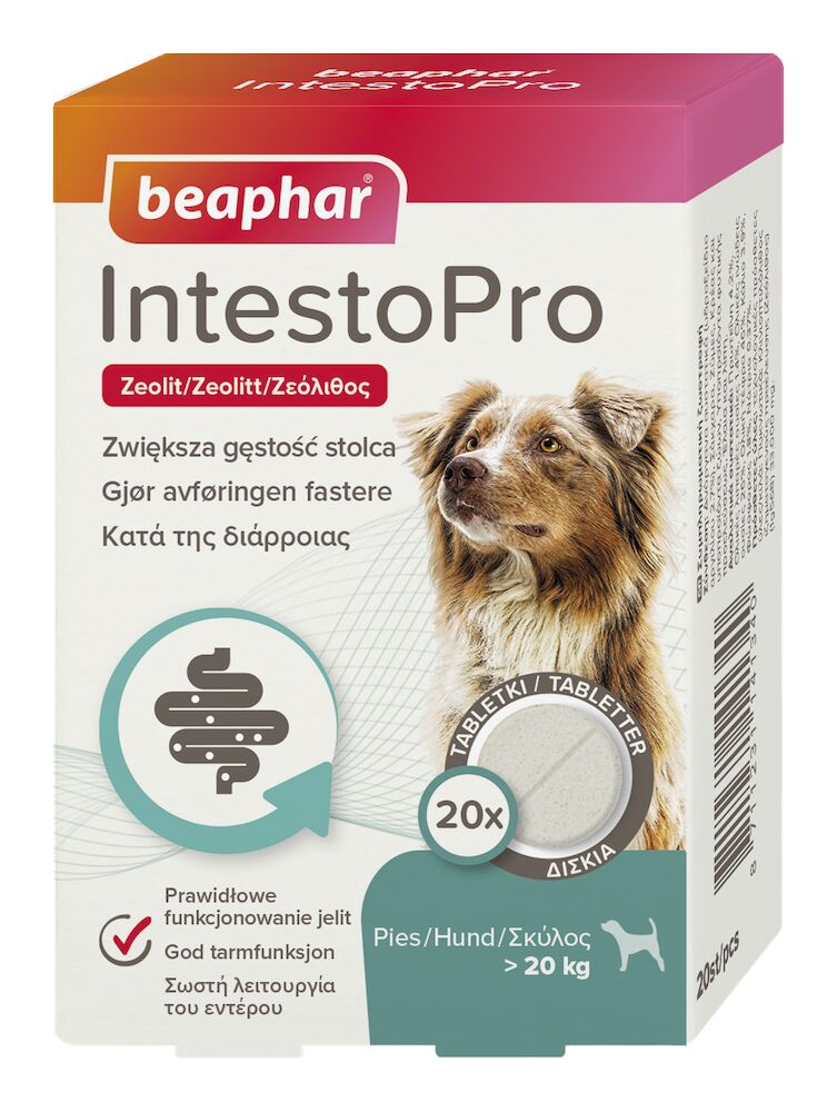 Beaphar IntestoPro tabletter 20kg >