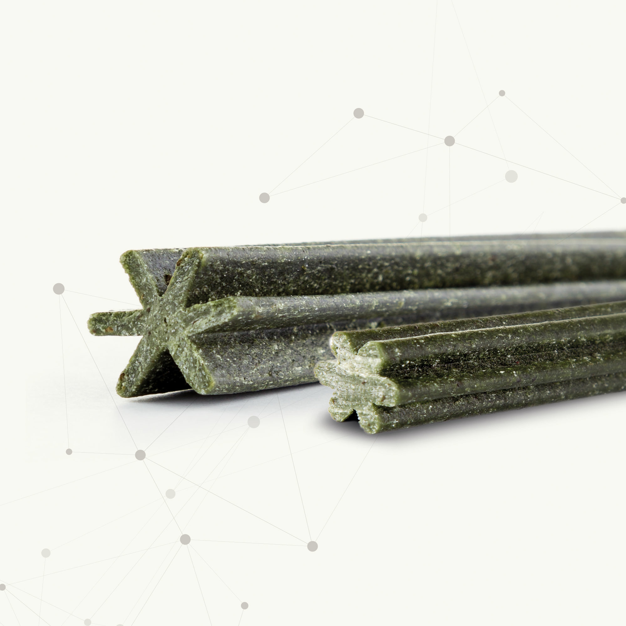 Zahnpflege Sticks für Hunde bis 10kg