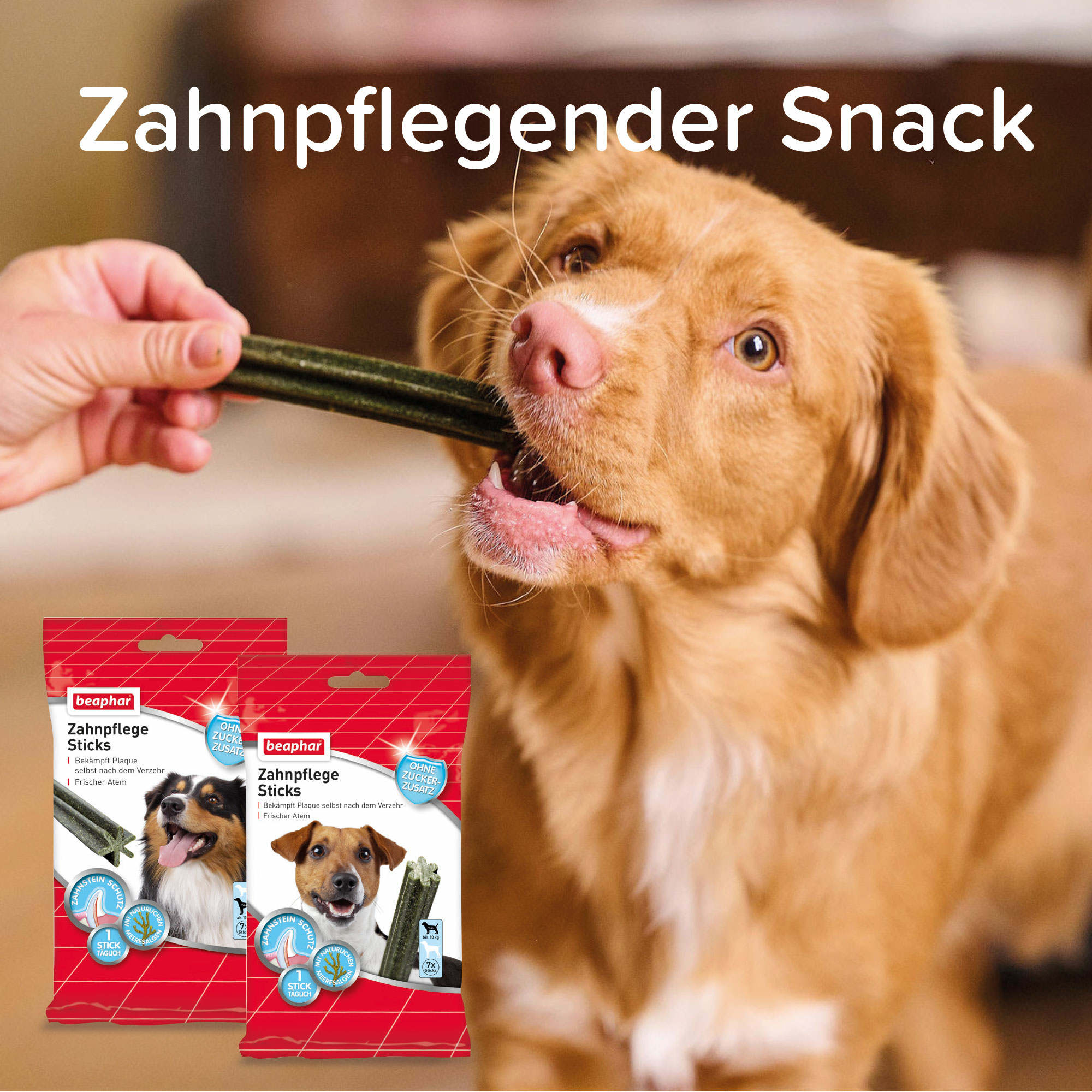 Zahnpflege Sticks für Hunde bis 10kg