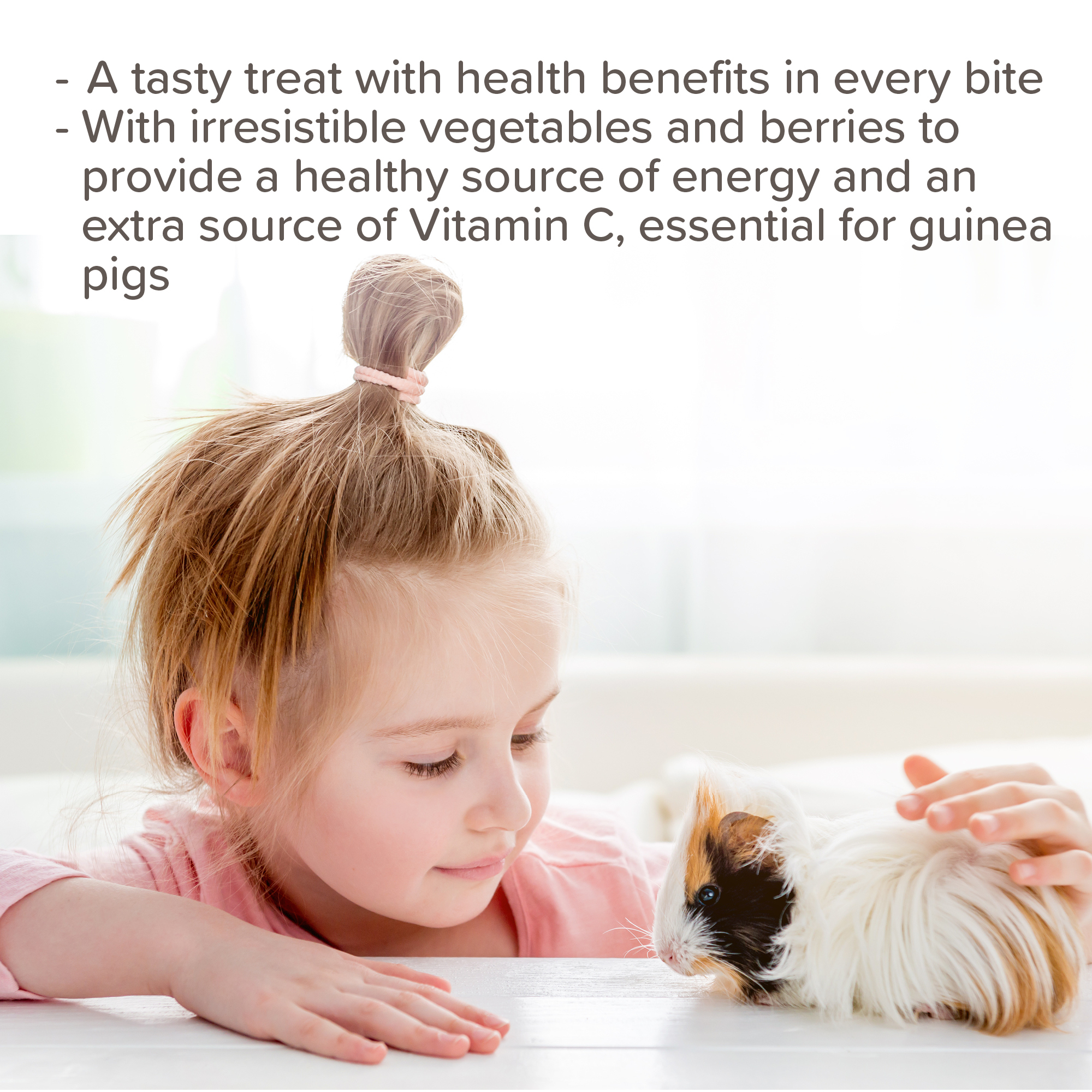 Beaphar Vegetable & Berry Crunch Sticks for Small Animals, 2 sticks