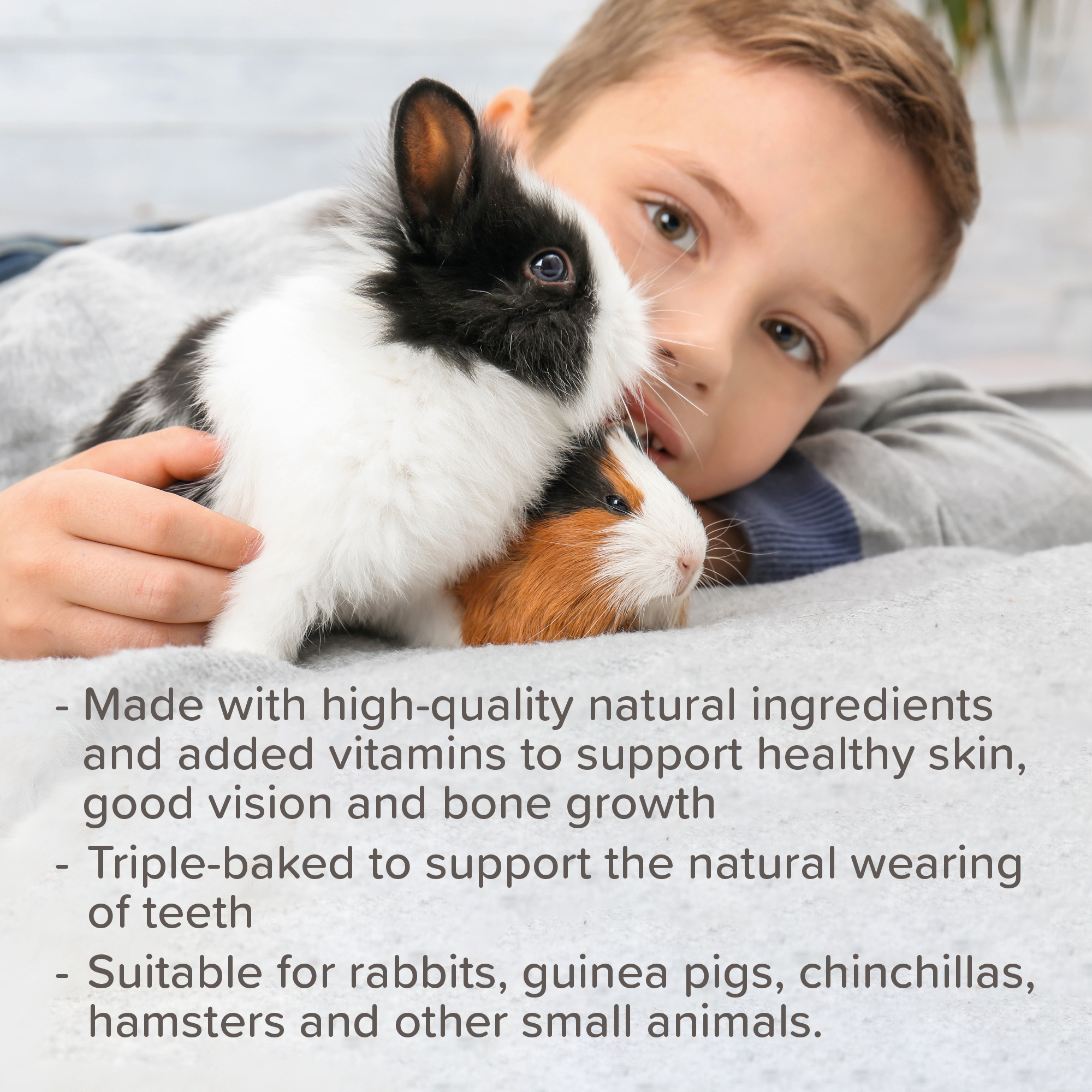 Beaphar Vegetable & Berry Crunch Sticks for Small Animals, 2 sticks