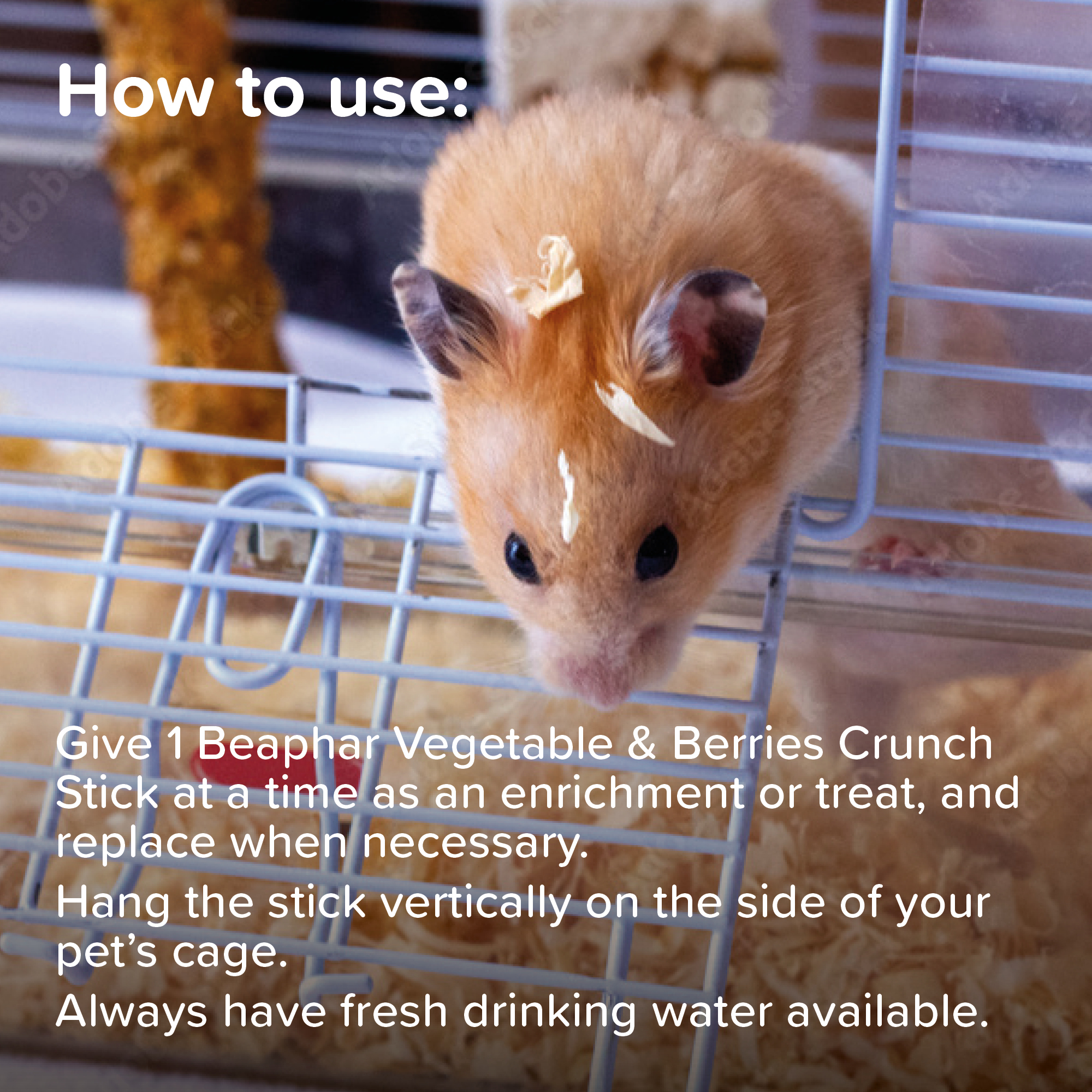 Beaphar Vegetable & Berry Crunch Sticks for Small Animals, 2 sticks