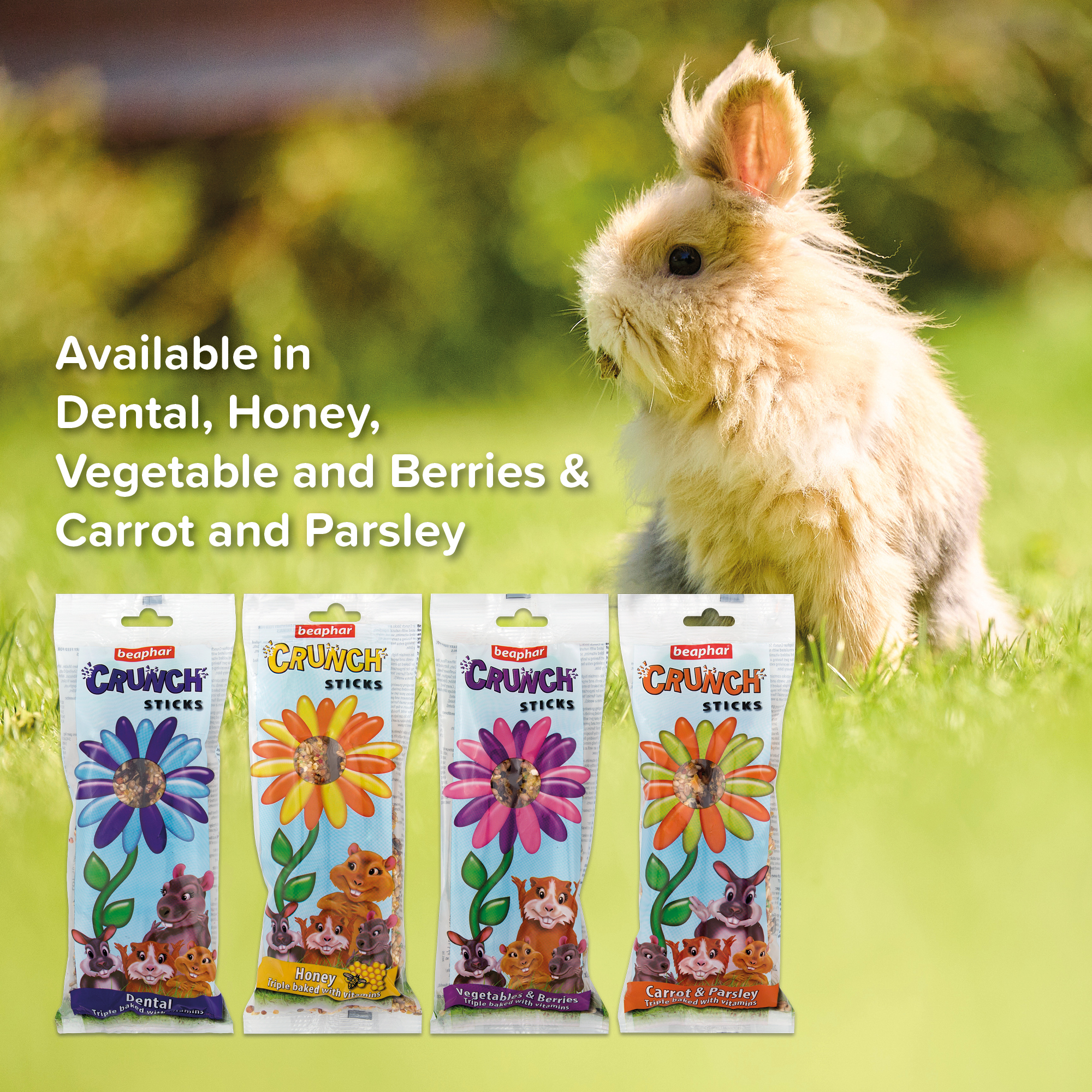 Beaphar Carrot & Parsley Crunch Sticks for Small Animals, 2 sticks