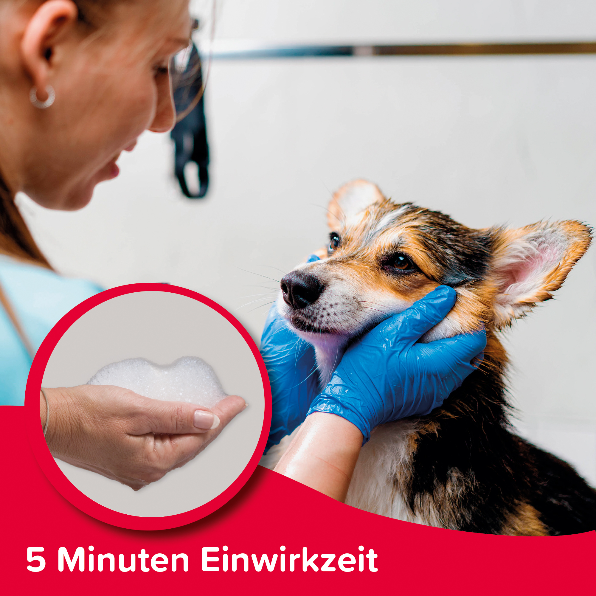 Flohschutz-Shampoo, 250ml