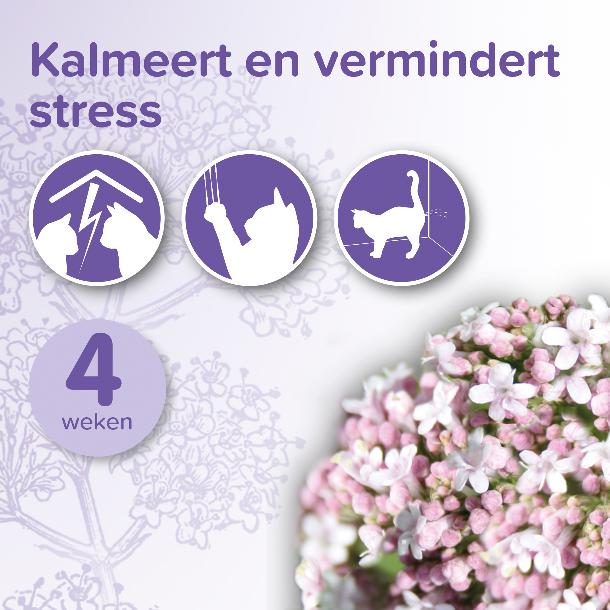 Beaphar No Stress Verdamper & Vulling kat
