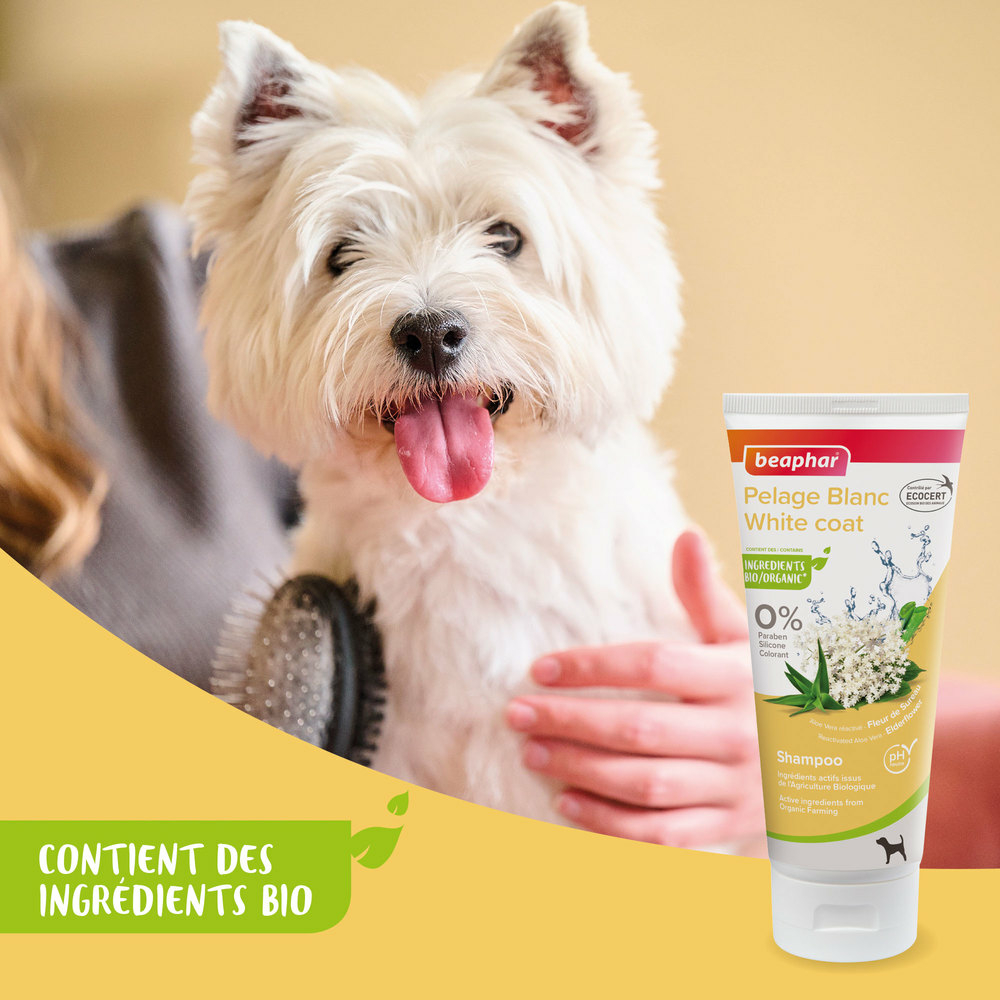 Shampooing pelage blanc labellisé Ecocert