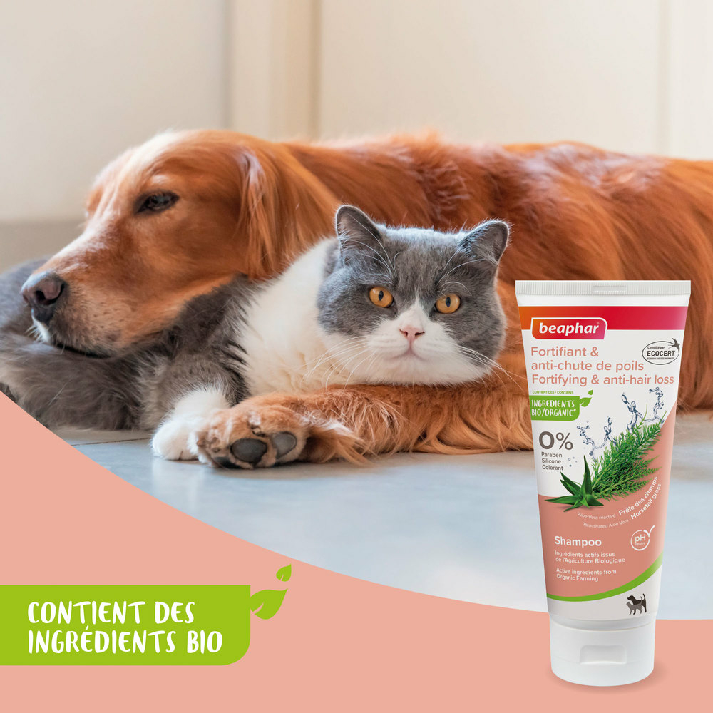 Shampooing fortifiant & anti-chute de poils